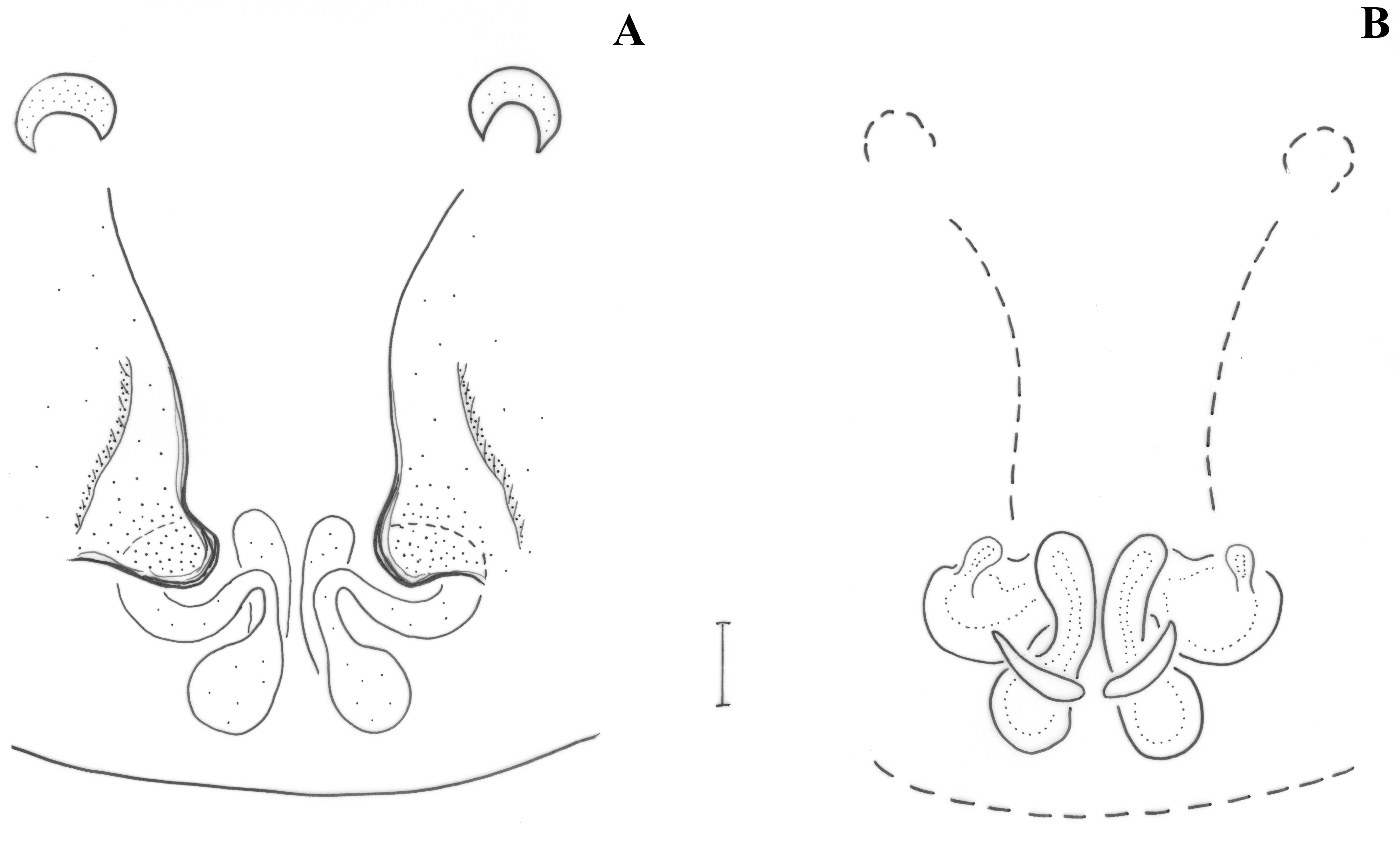 Taxonomy 01 00028 g017 550