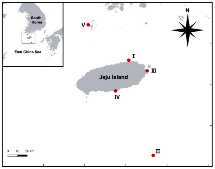Taxonomy 01 00031 g001