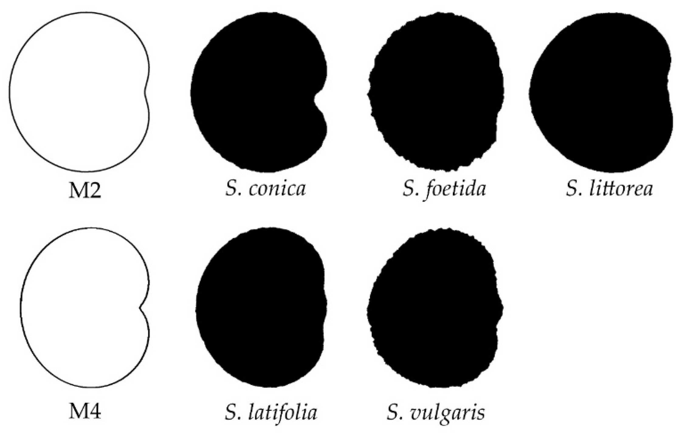 Taxonomy 02 00001 g006