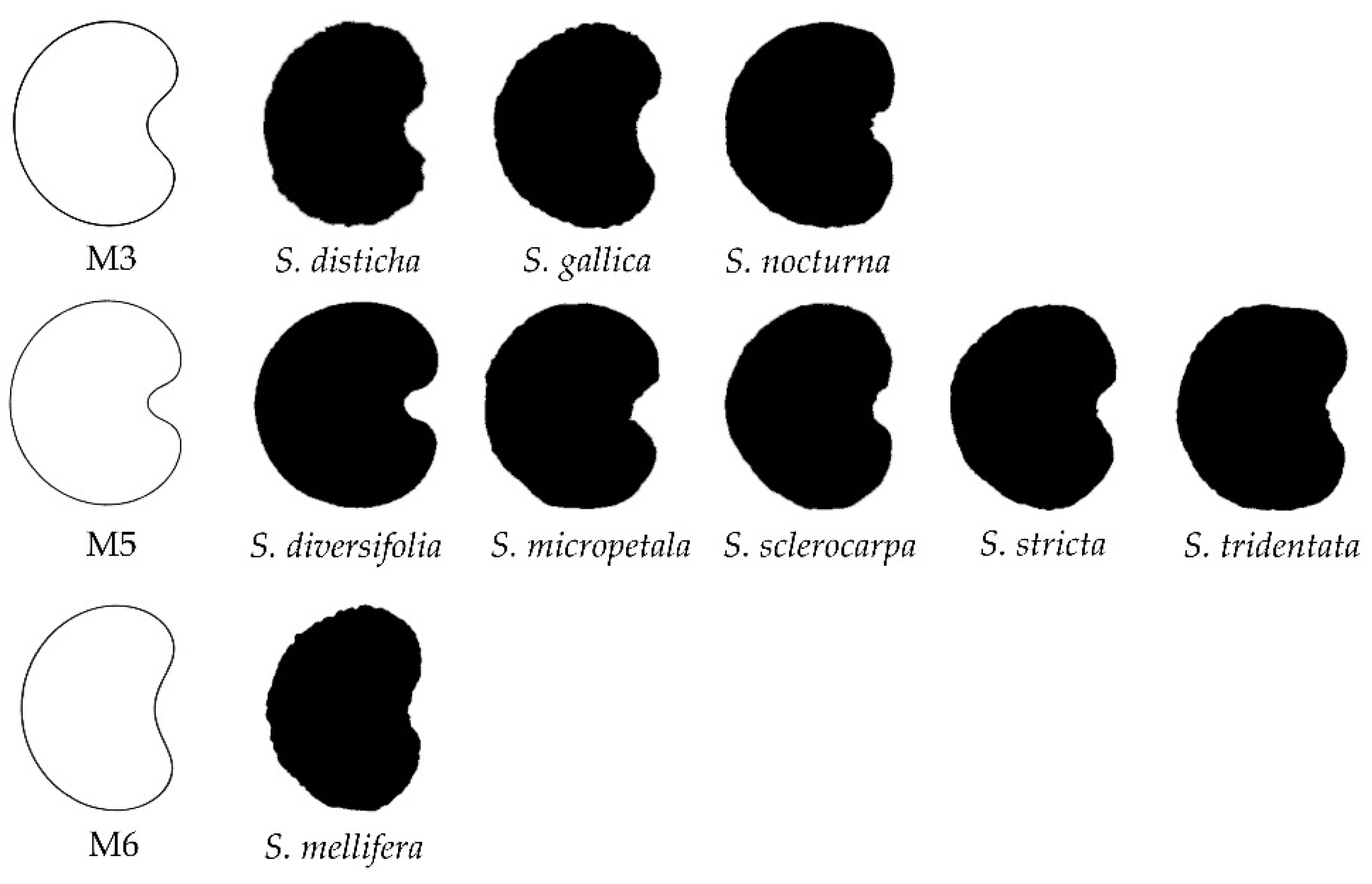 Taxonomy 02 00001 g007