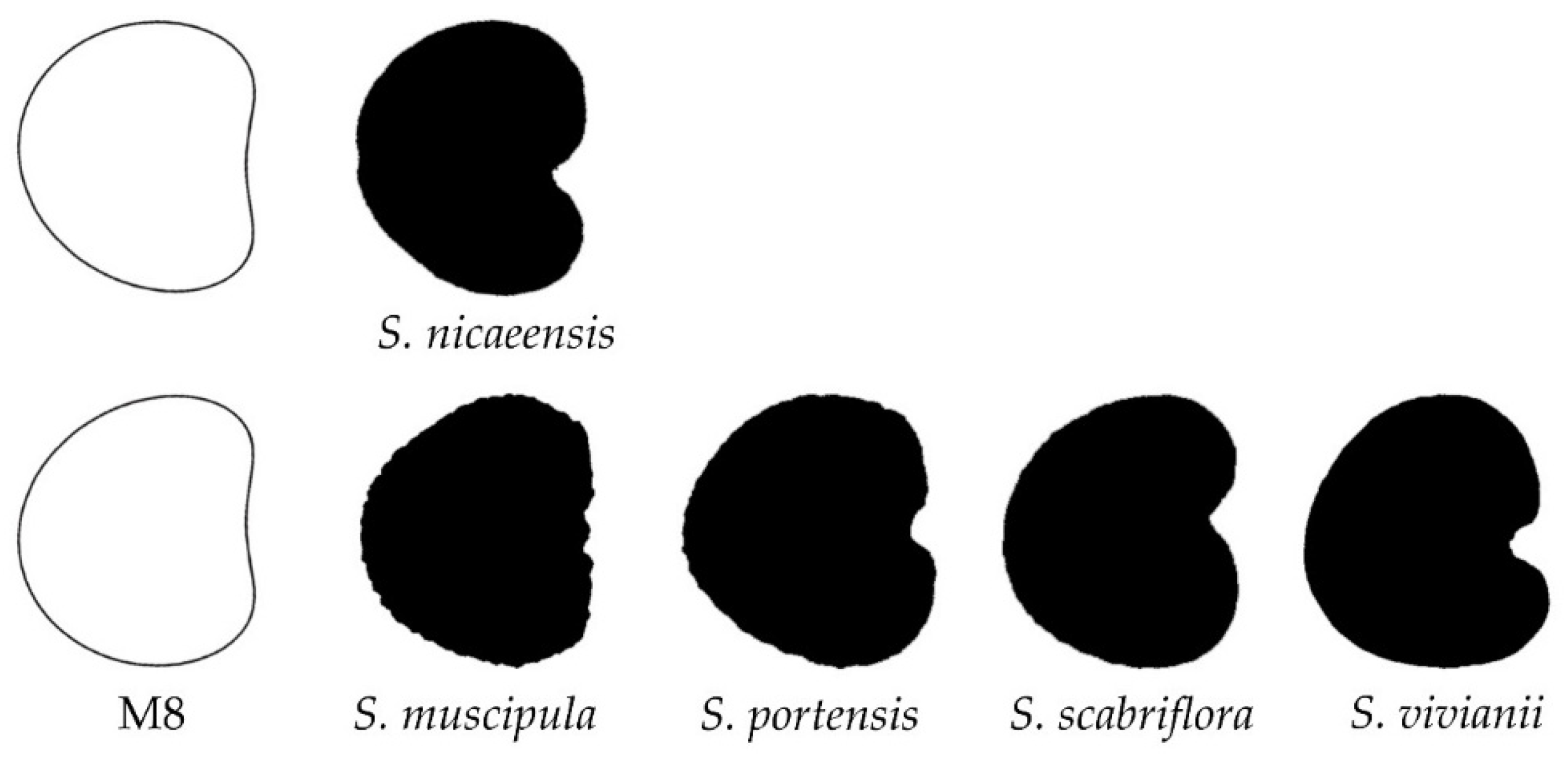 Taxonomy 02 00001 g009