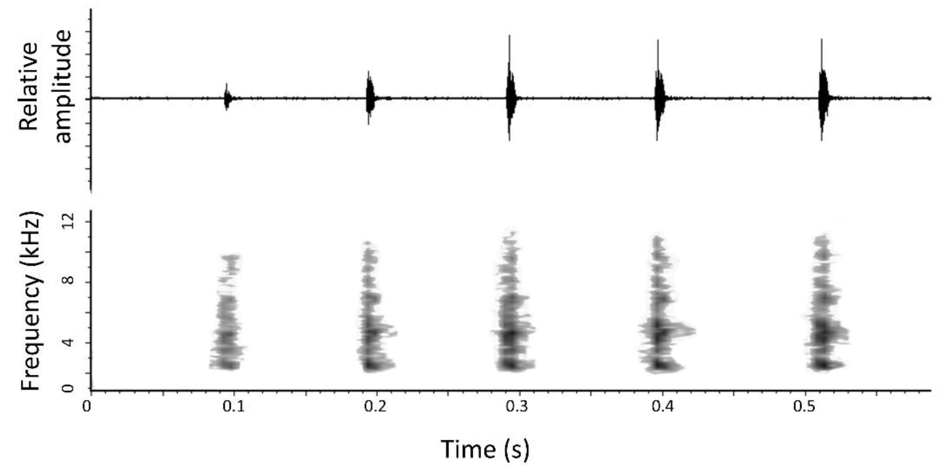 Taxonomy 02 00002 g004