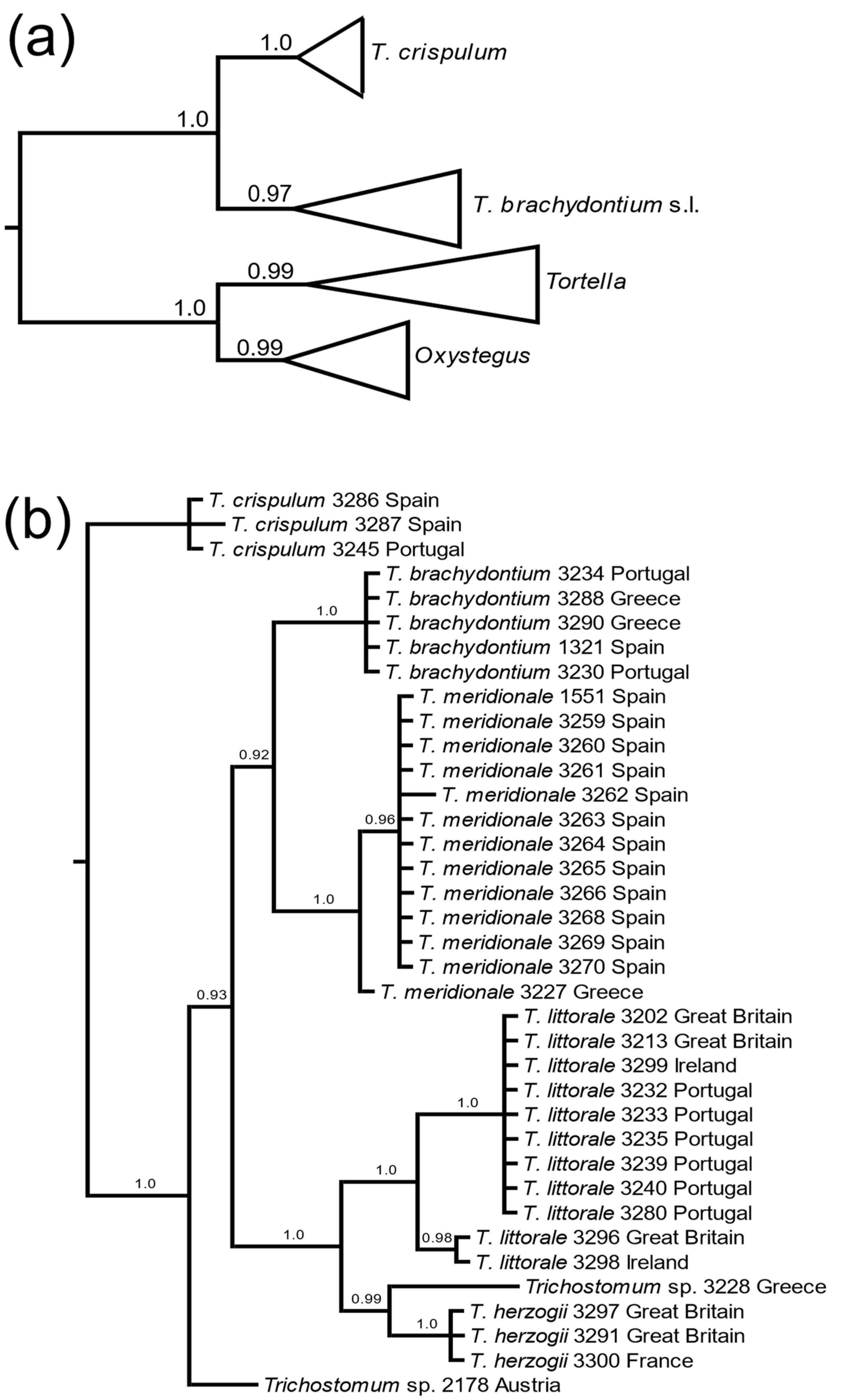Taxonomy 02 00005 g001 550