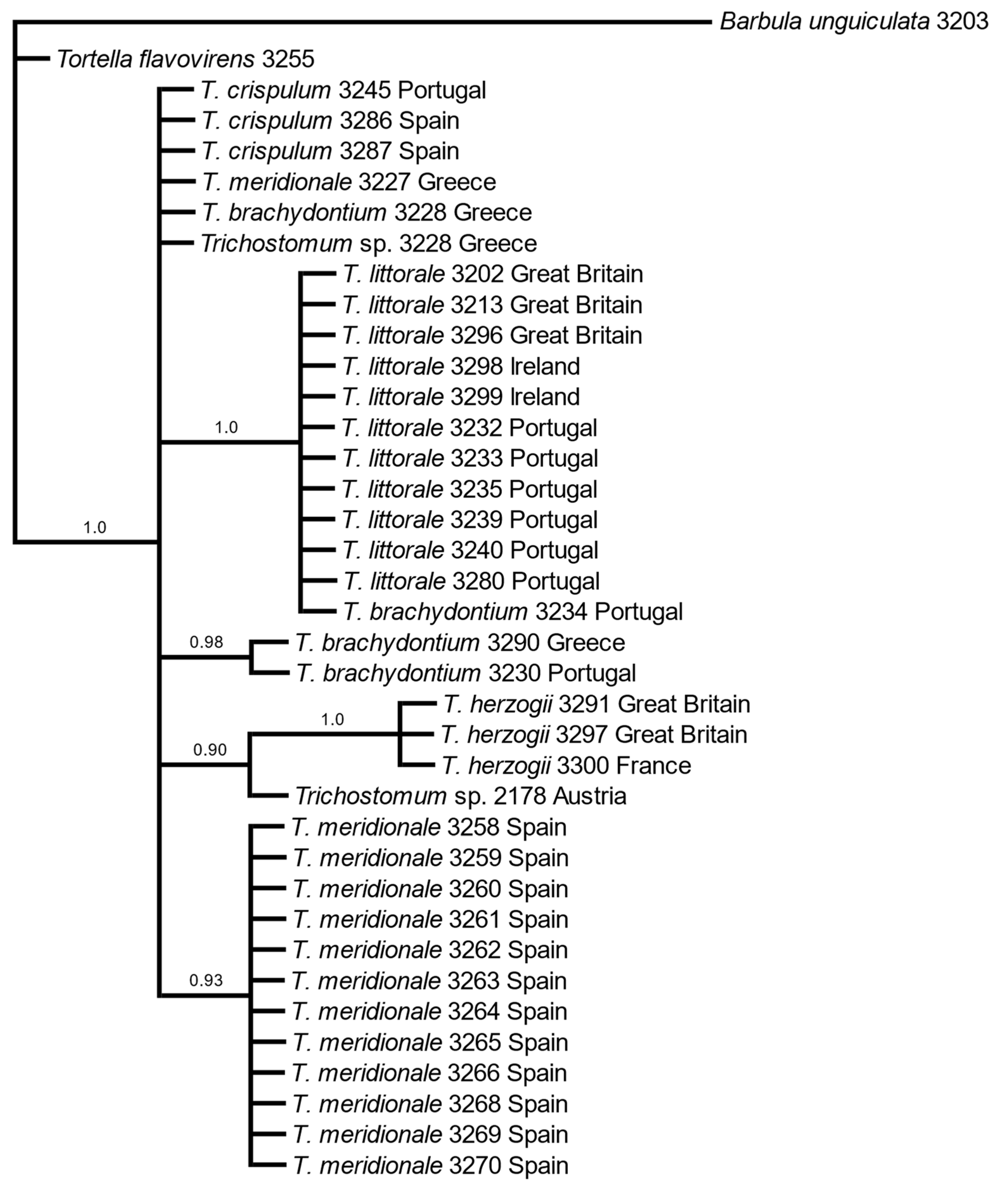 Taxonomy 02 00005 g002 550