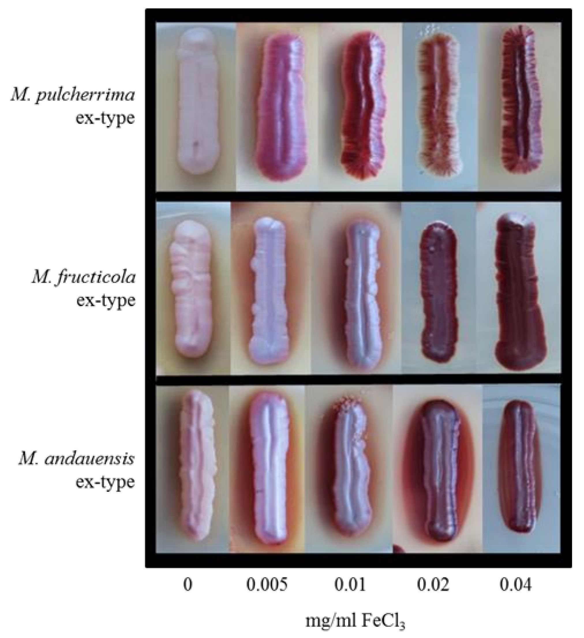 Taxonomy 02 00009 g002 Taxonomy 02 00009 g002