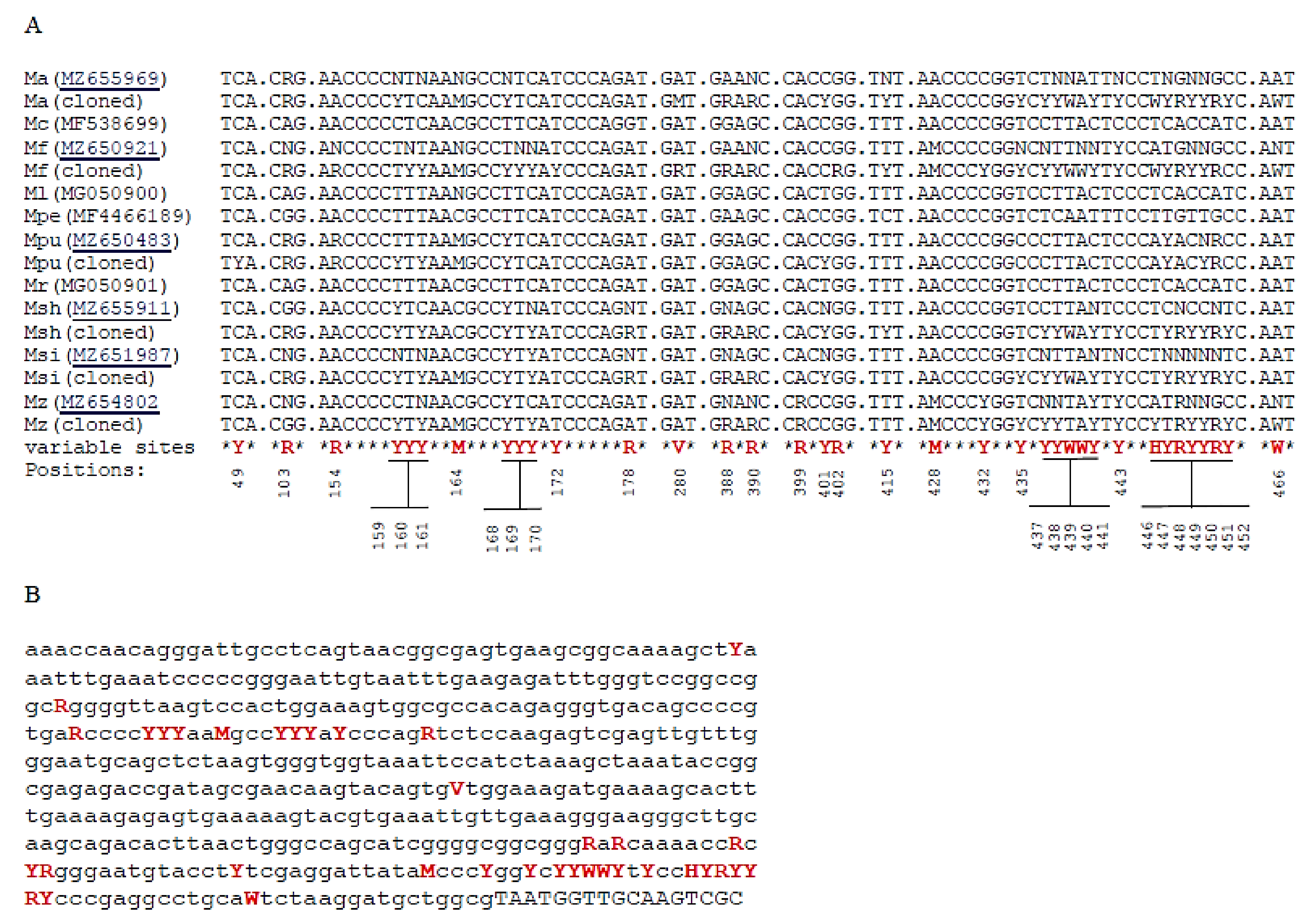 Taxonomy 02 00009 g004 Taxonomy 02 00009 g004