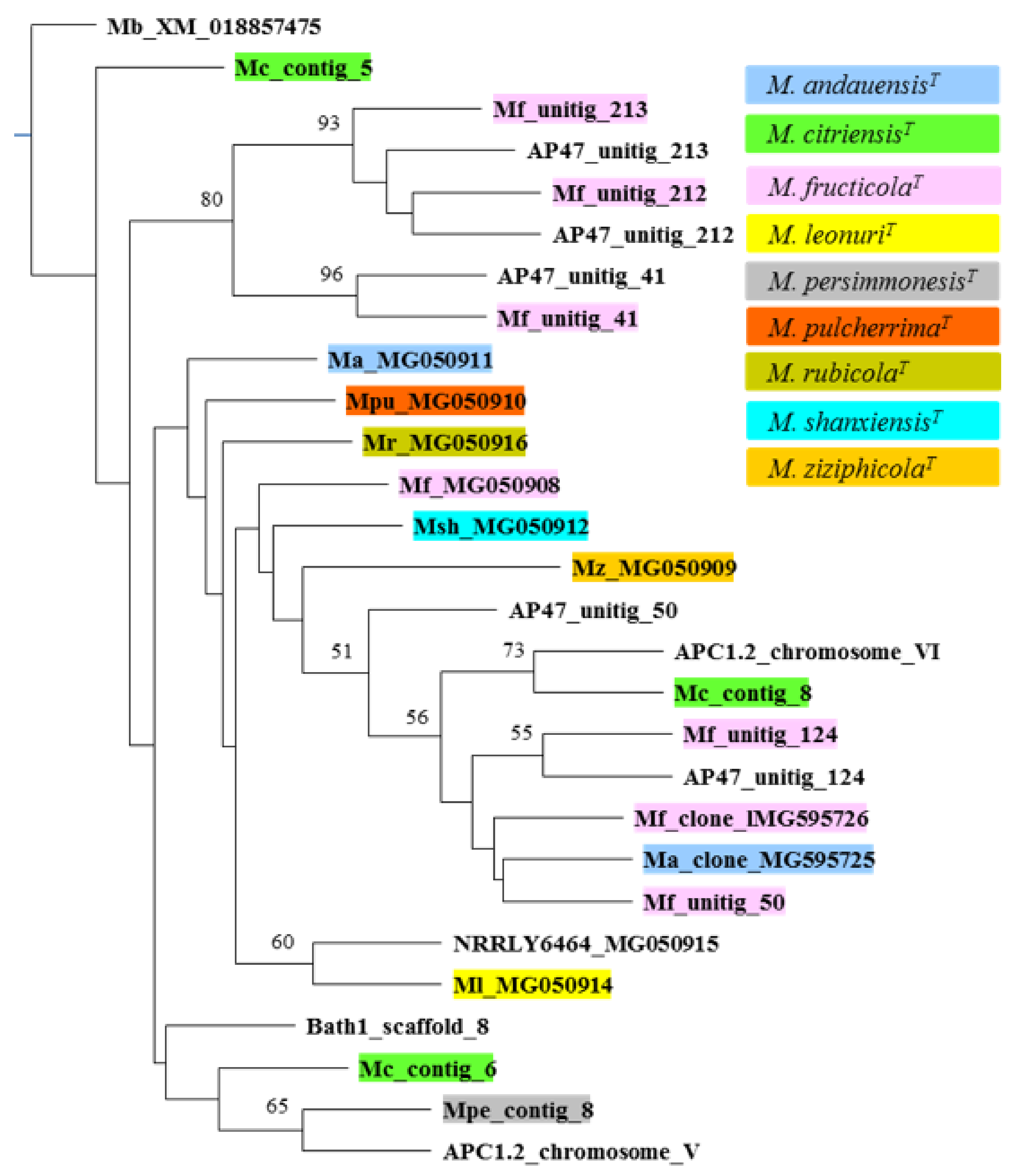 Taxonomy 02 00009 g006 Taxonomy 02 00009 g006