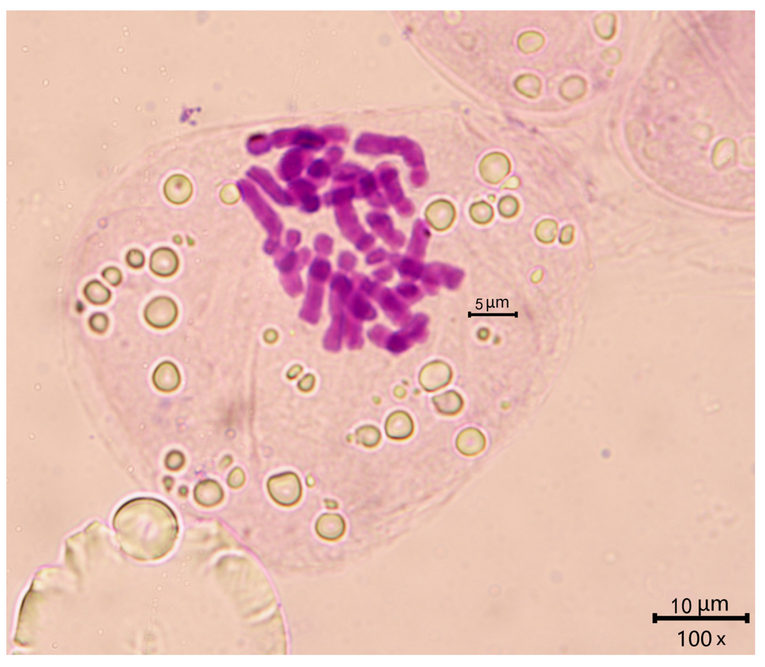 Taxonomy 02 00022 g006