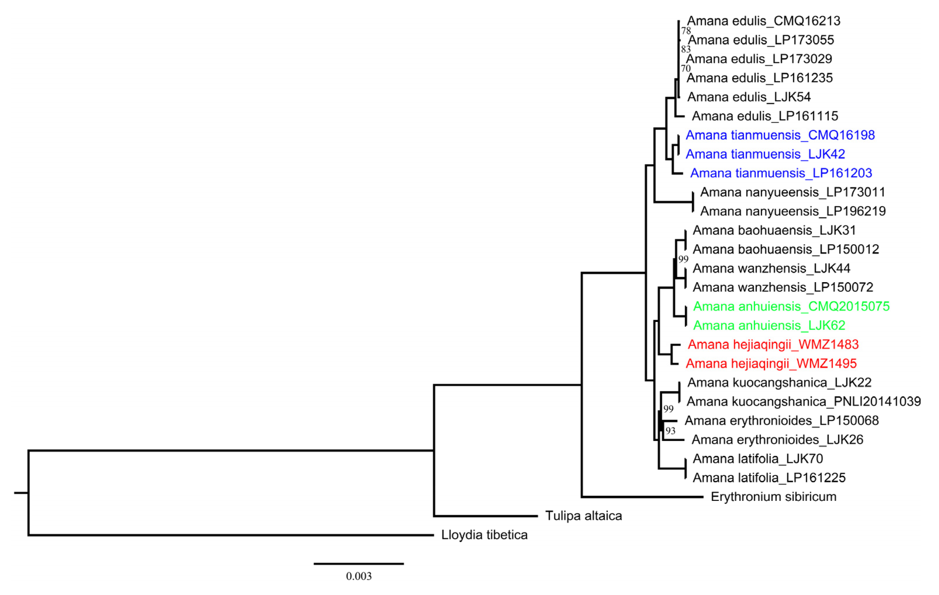 Taxonomy 02 00022 g007
