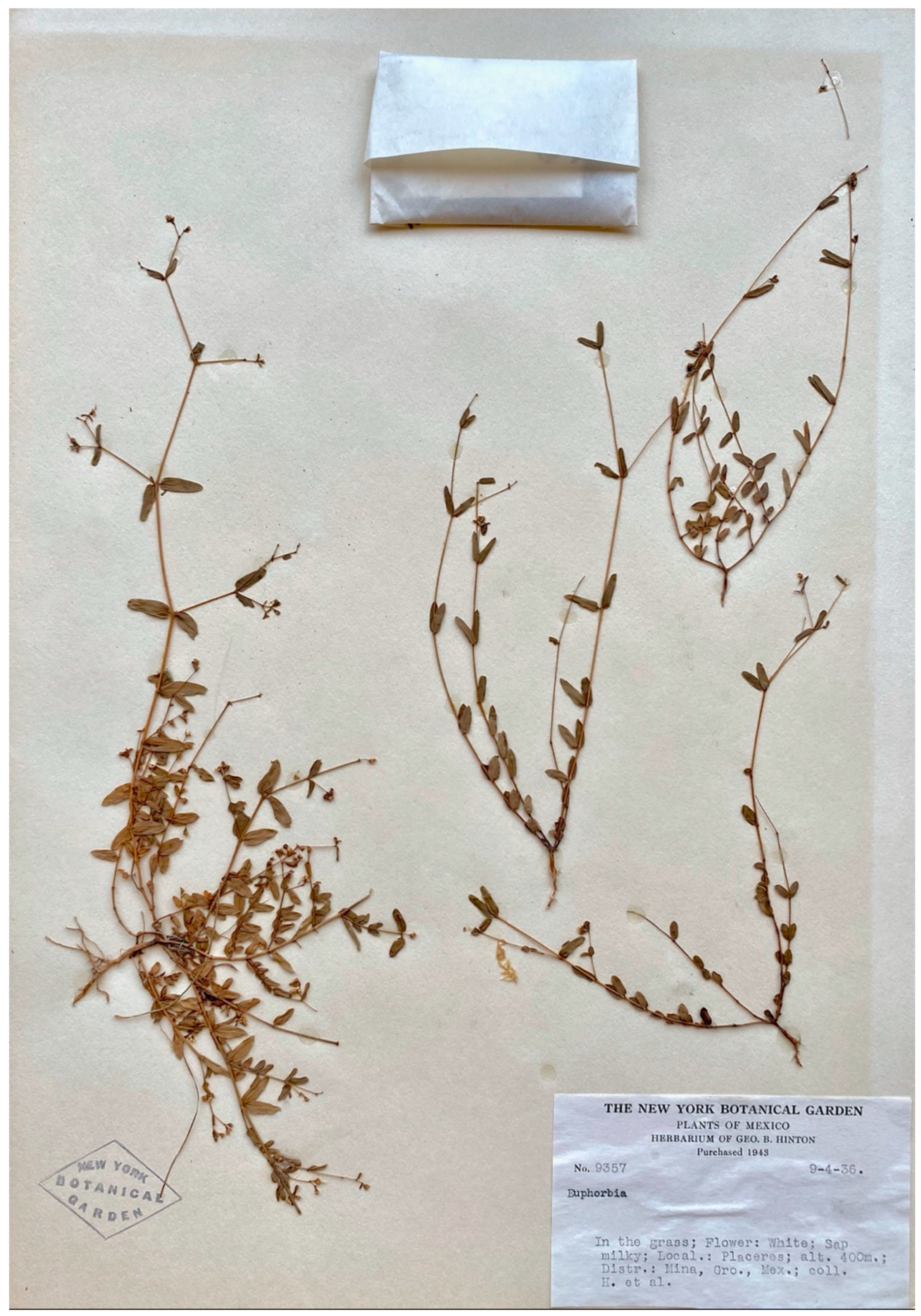 Taxonomy 02 00023 g001