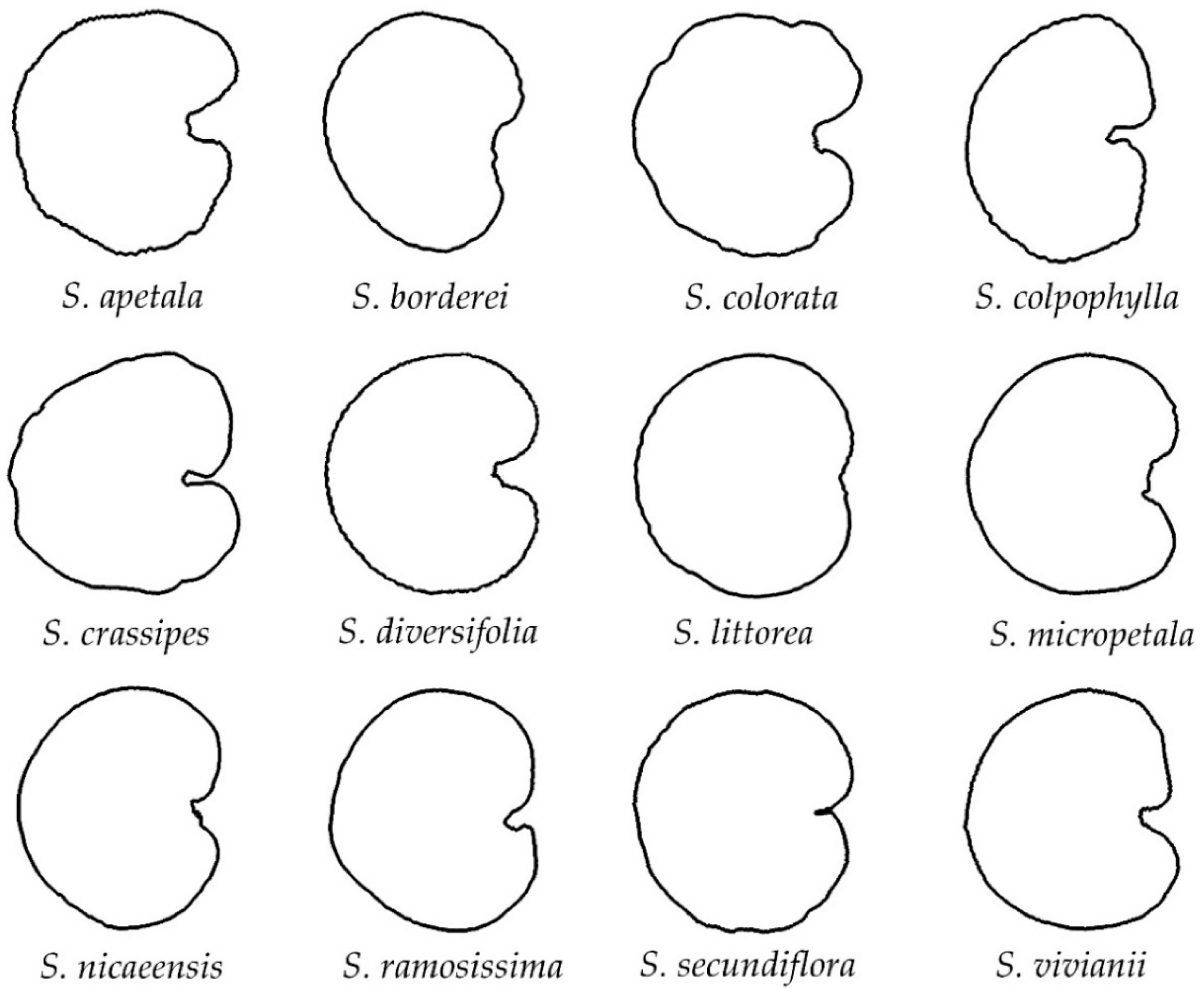Taxonomy 02 00024 g002 Taxonomy 02 00024 g002