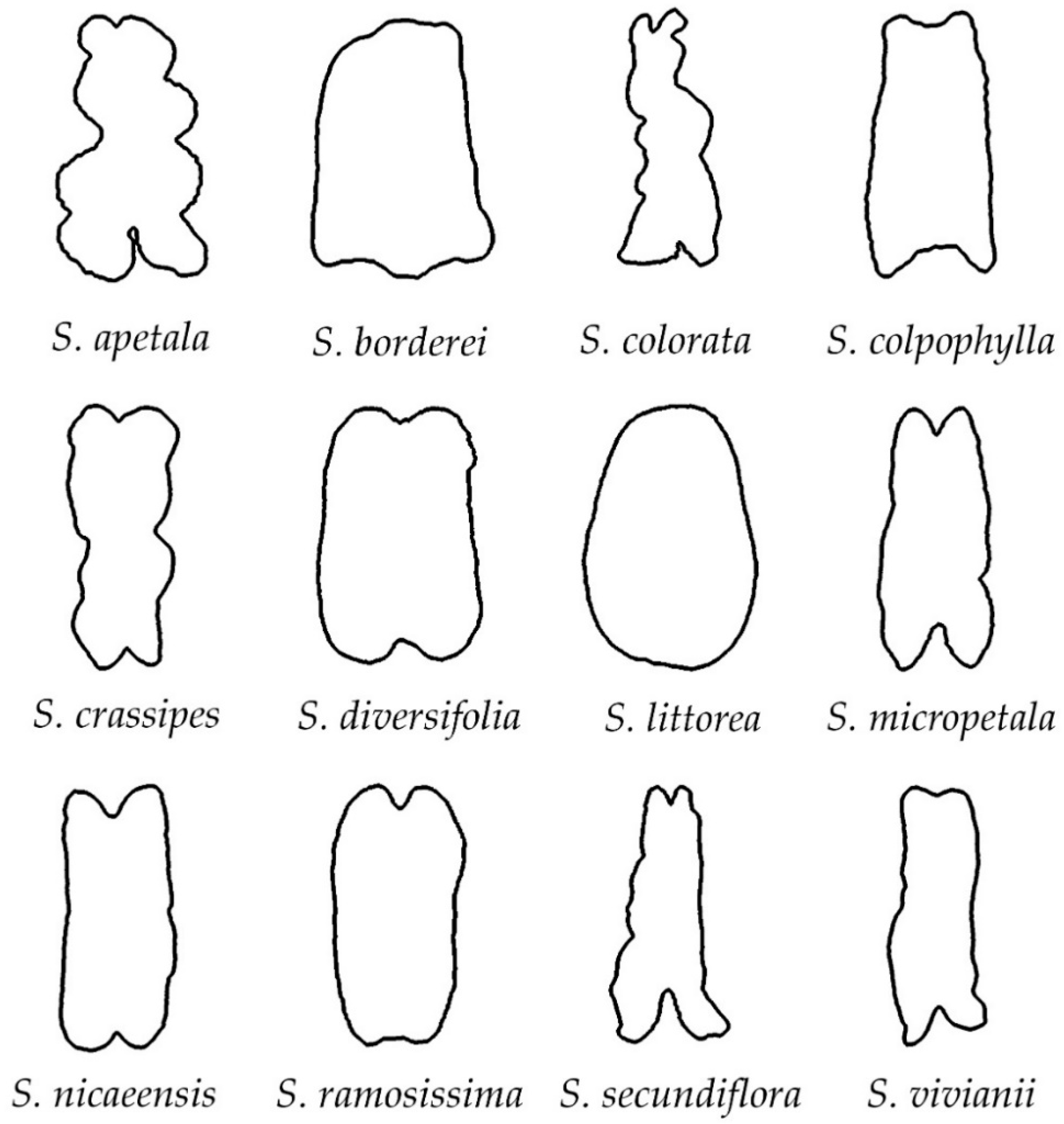 Taxonomy 02 00024 g003 Taxonomy 02 00024 g003