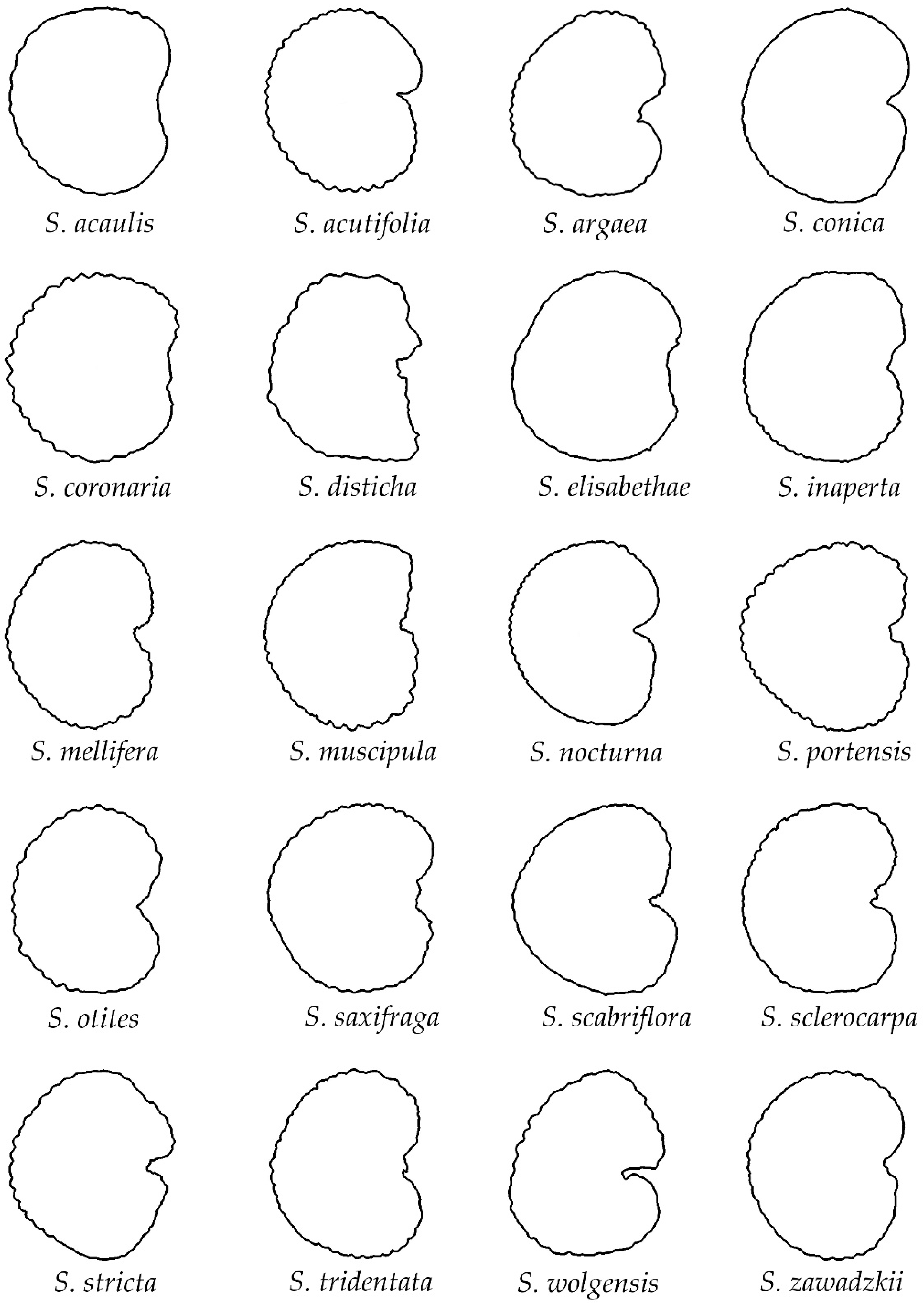 Taxonomy 02 00024 g004 Taxonomy 02 00024 g004