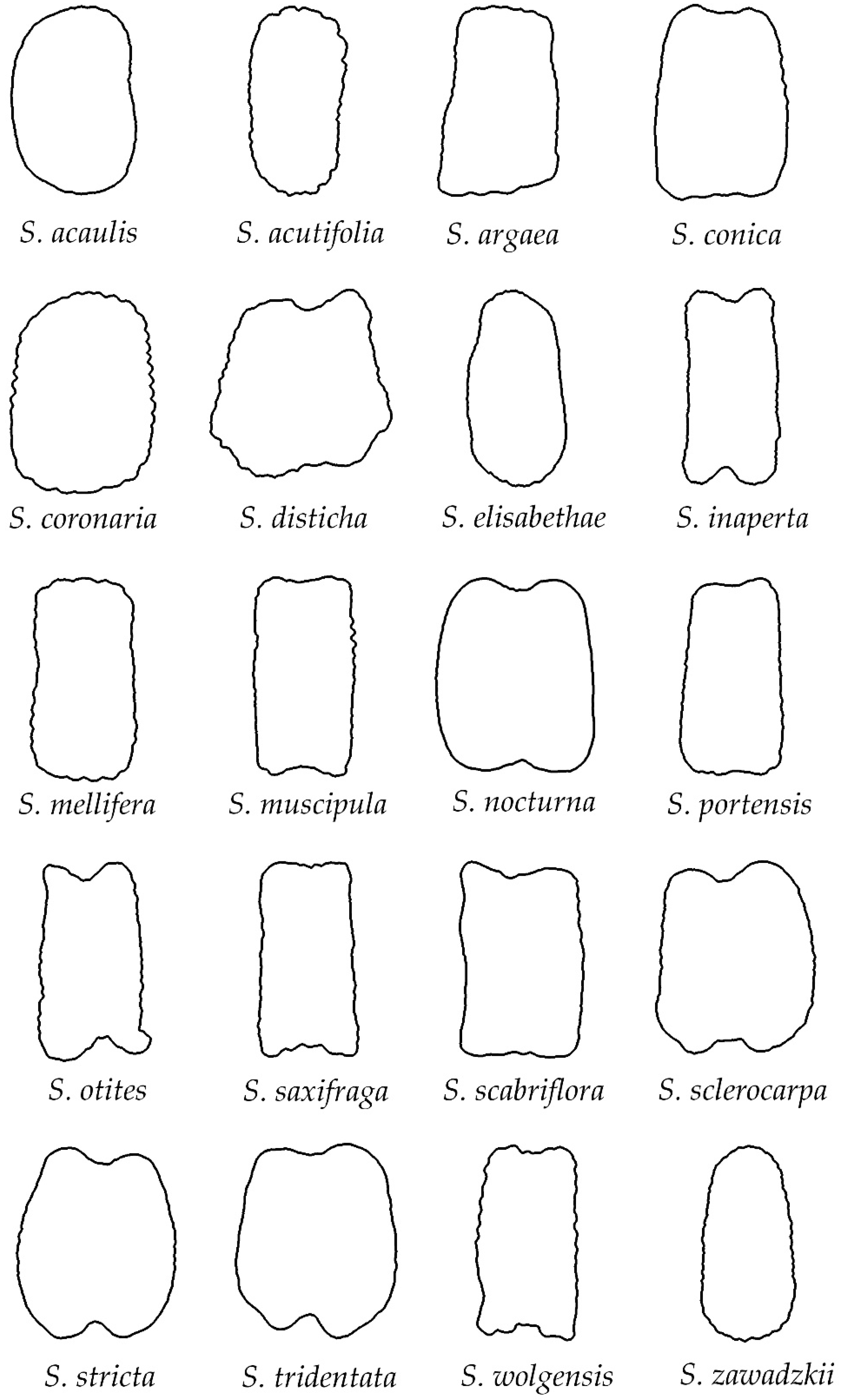 Taxonomy 02 00024 g005 Taxonomy 02 00024 g005