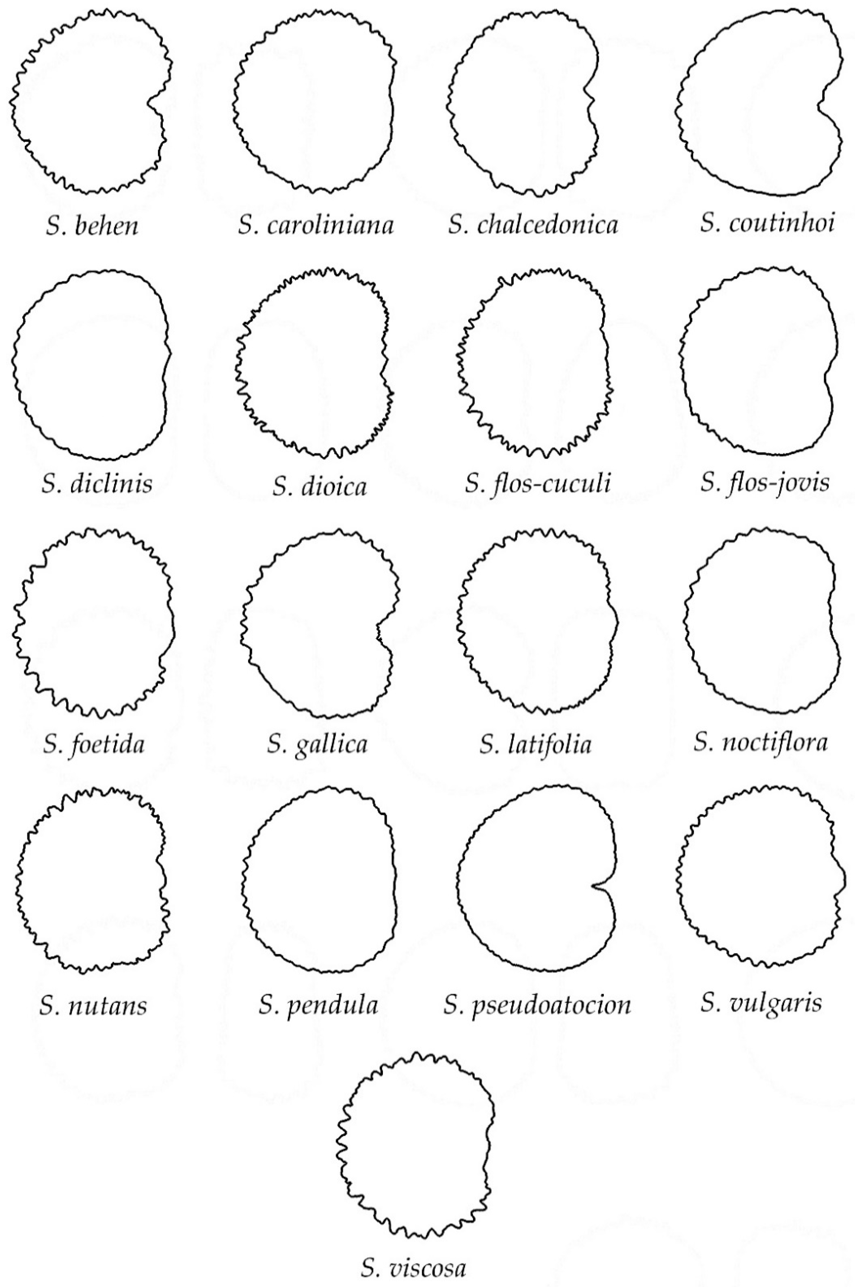 Taxonomy 02 00024 g006 Taxonomy 02 00024 g006