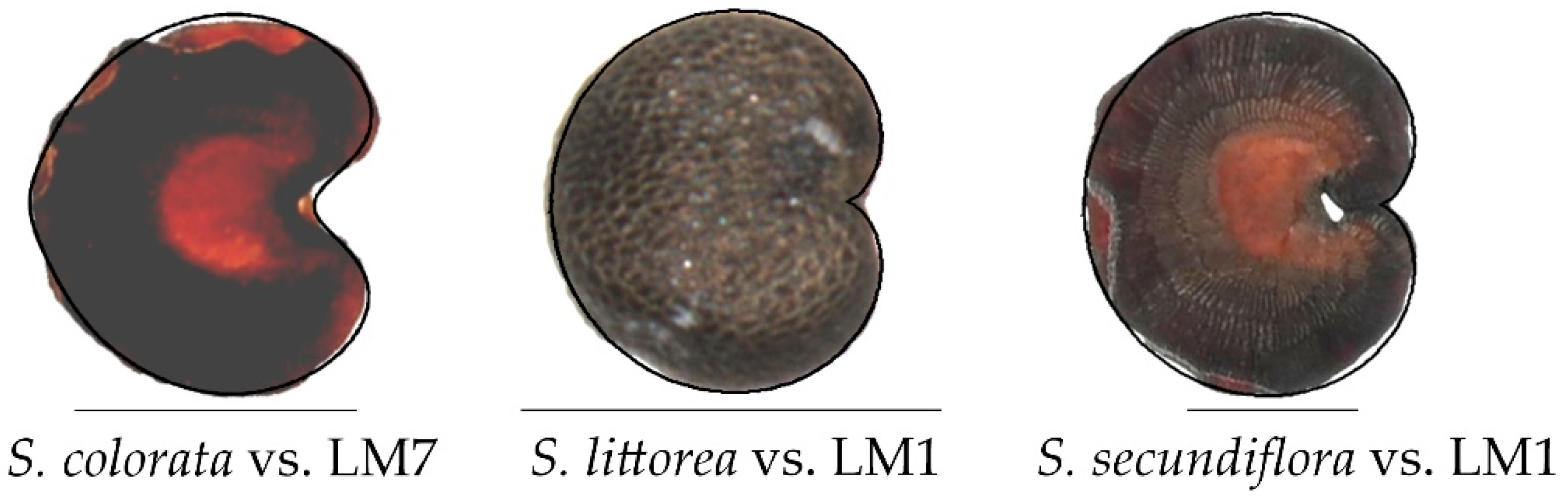 Taxonomy 02 00024 g008 Taxonomy 02 00024 g008