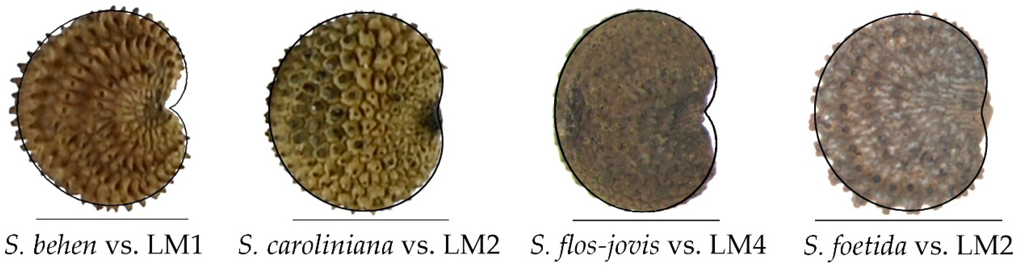 Taxonomy 02 00024 g010 Taxonomy 02 00024 g010