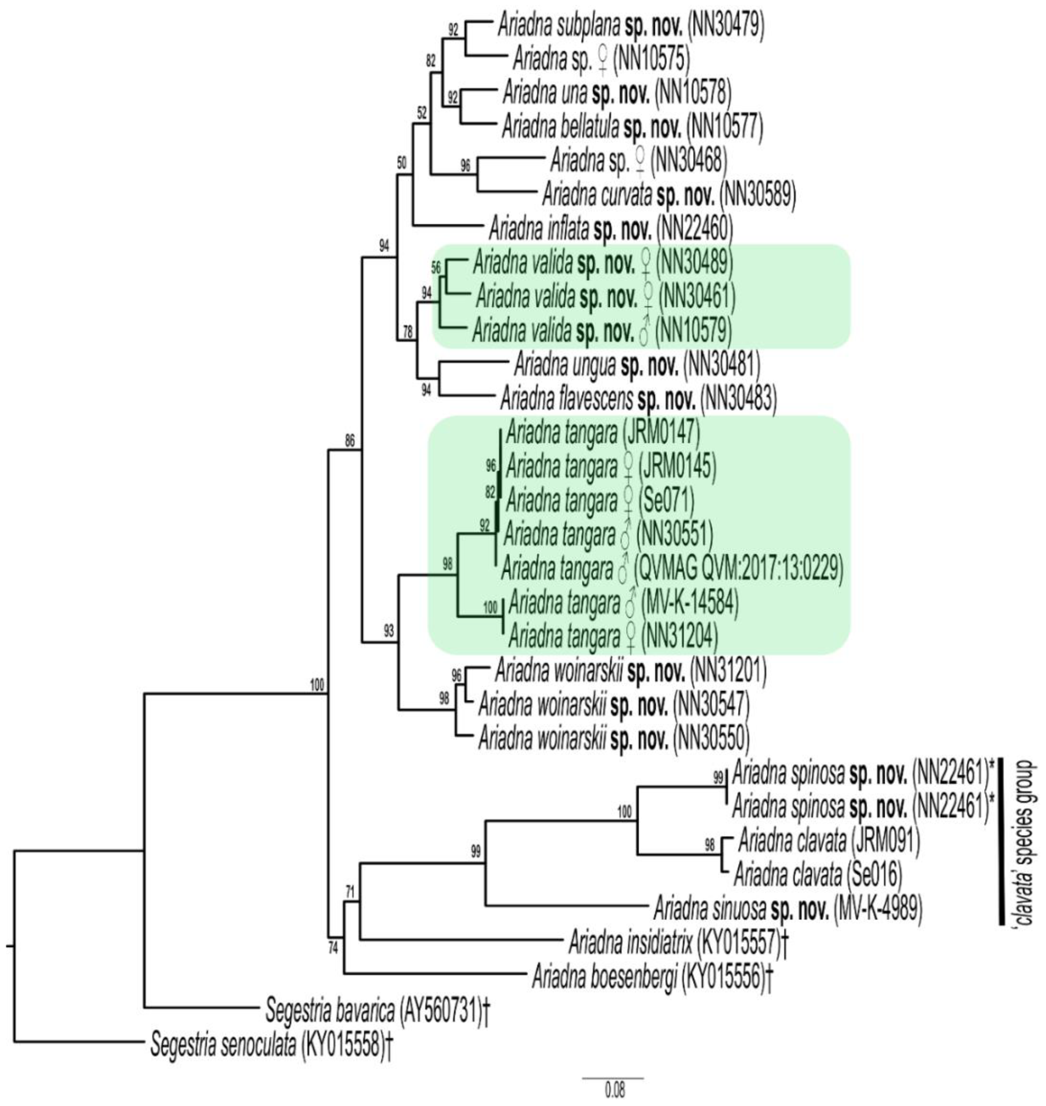 Taxonomy 02 00028 g002