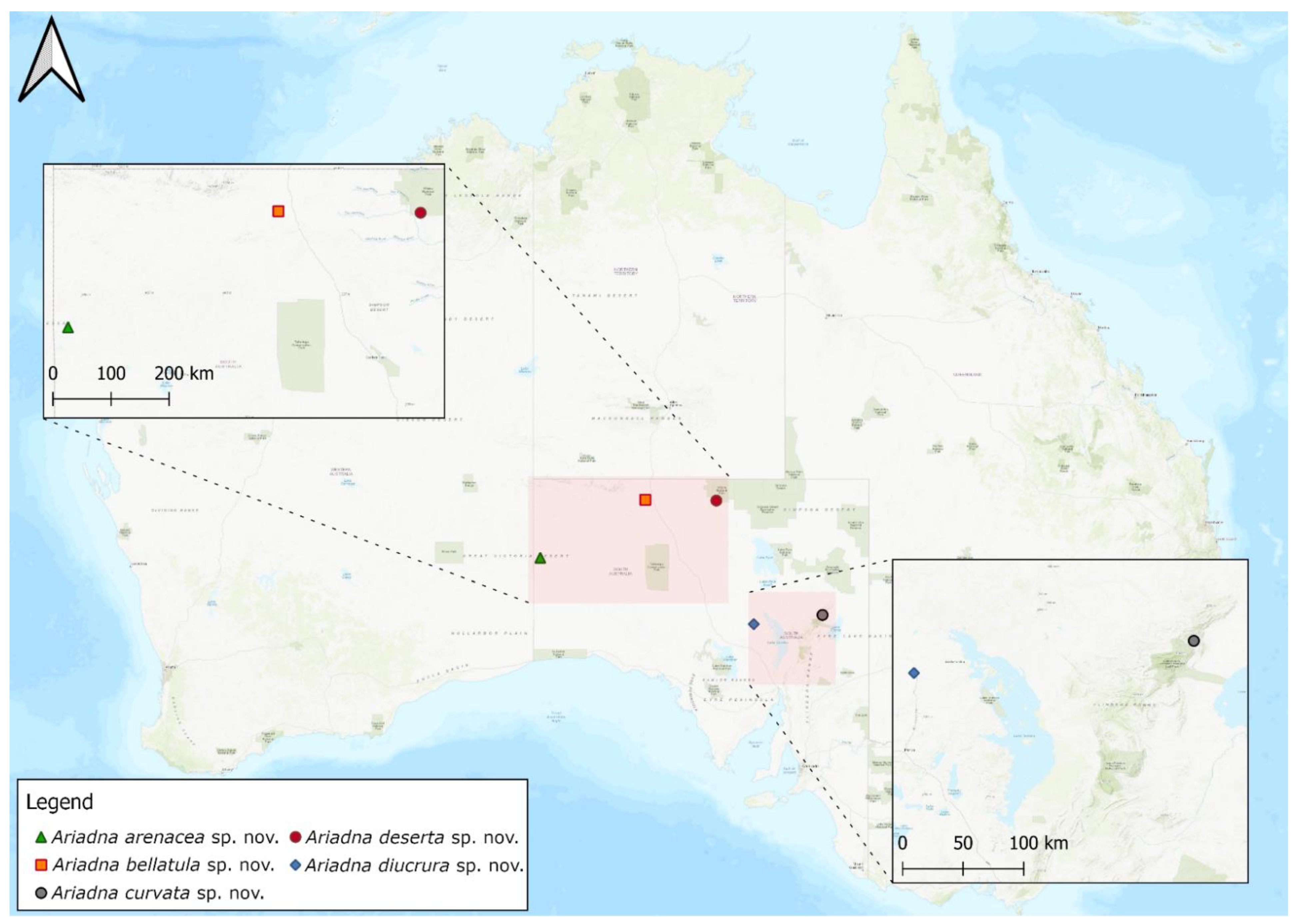 Taxonomy 02 00028 g028