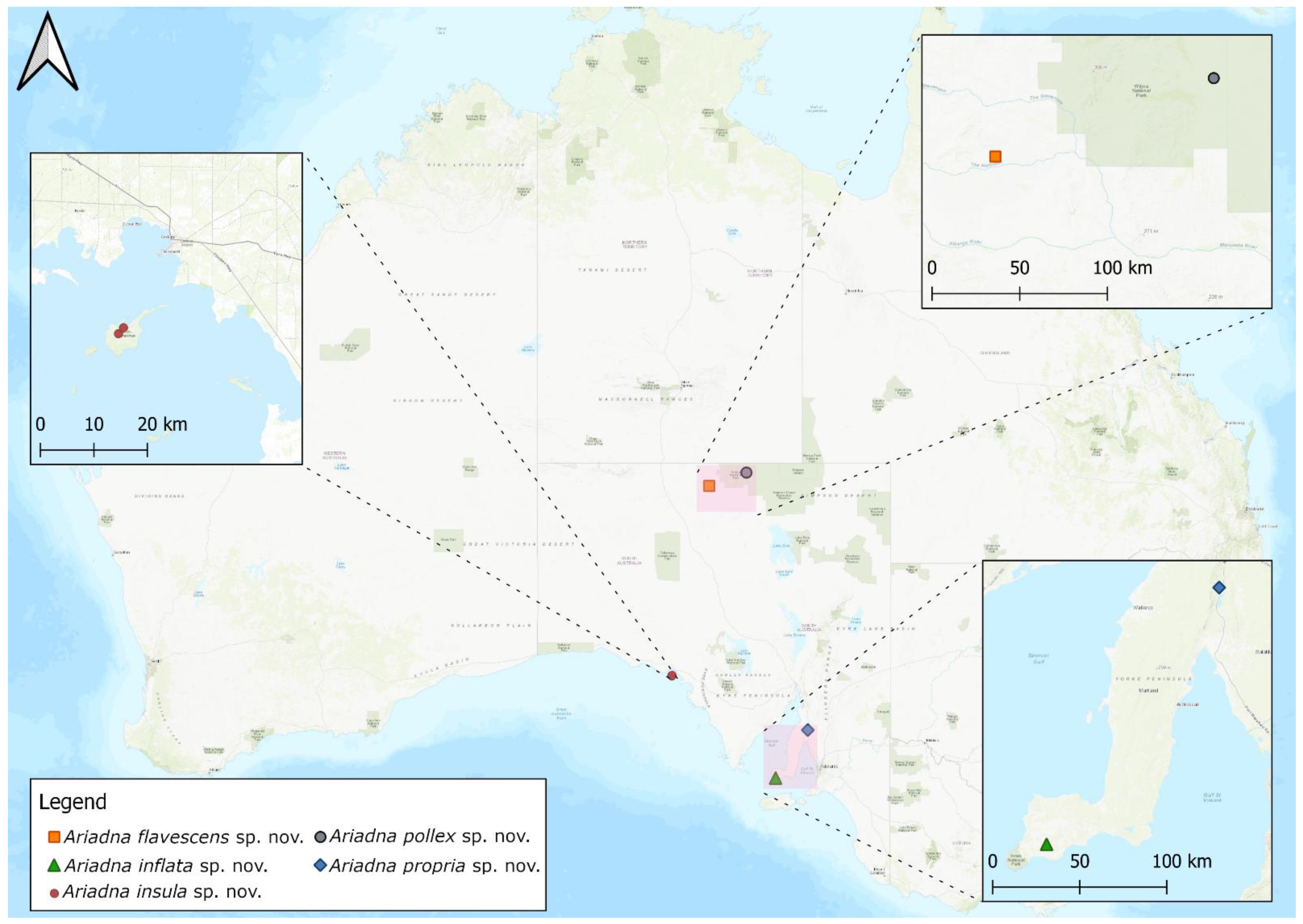 Taxonomy 02 00028 g039
