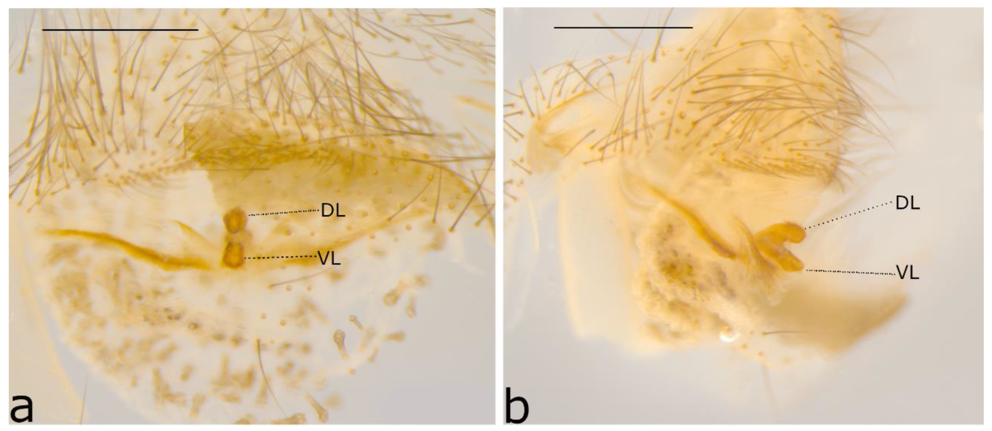 Taxonomy 02 00028 g049