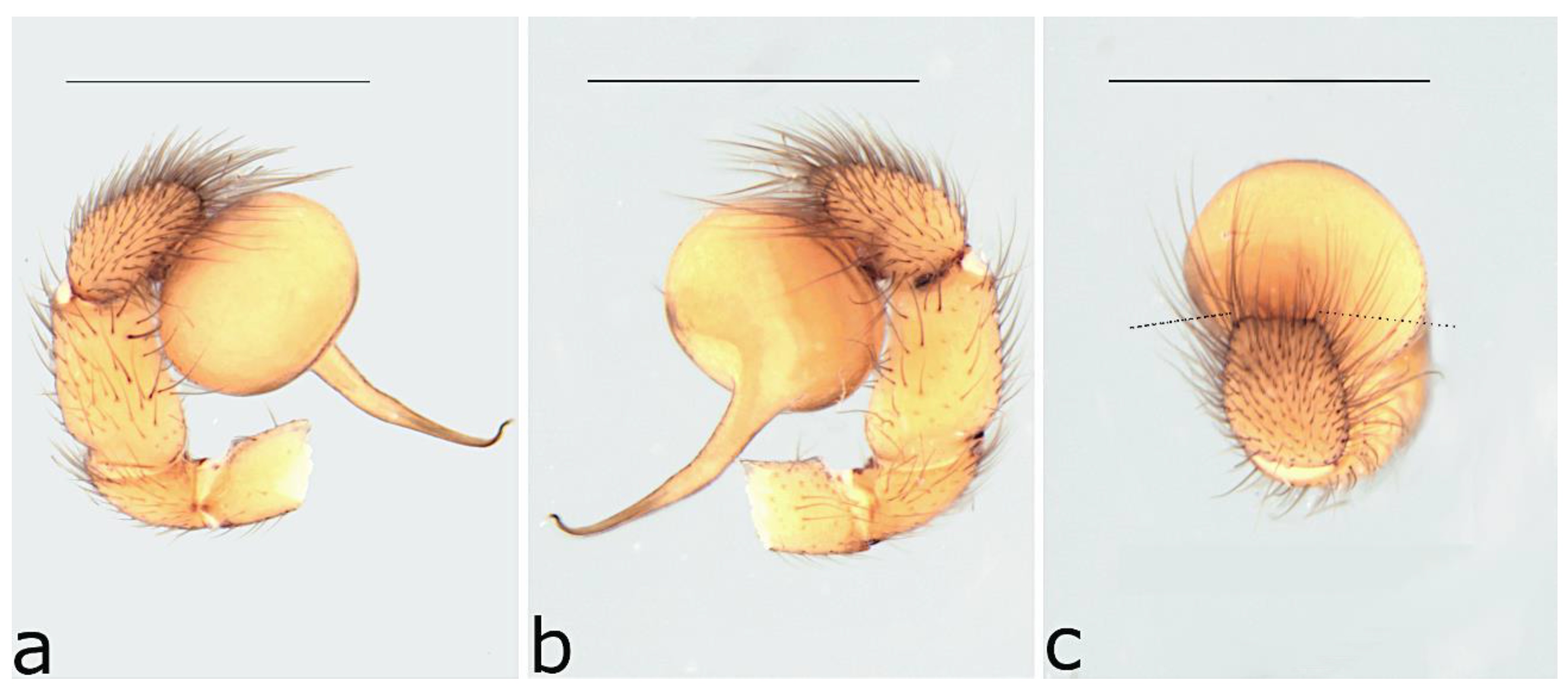 Taxonomy 02 00028 g054