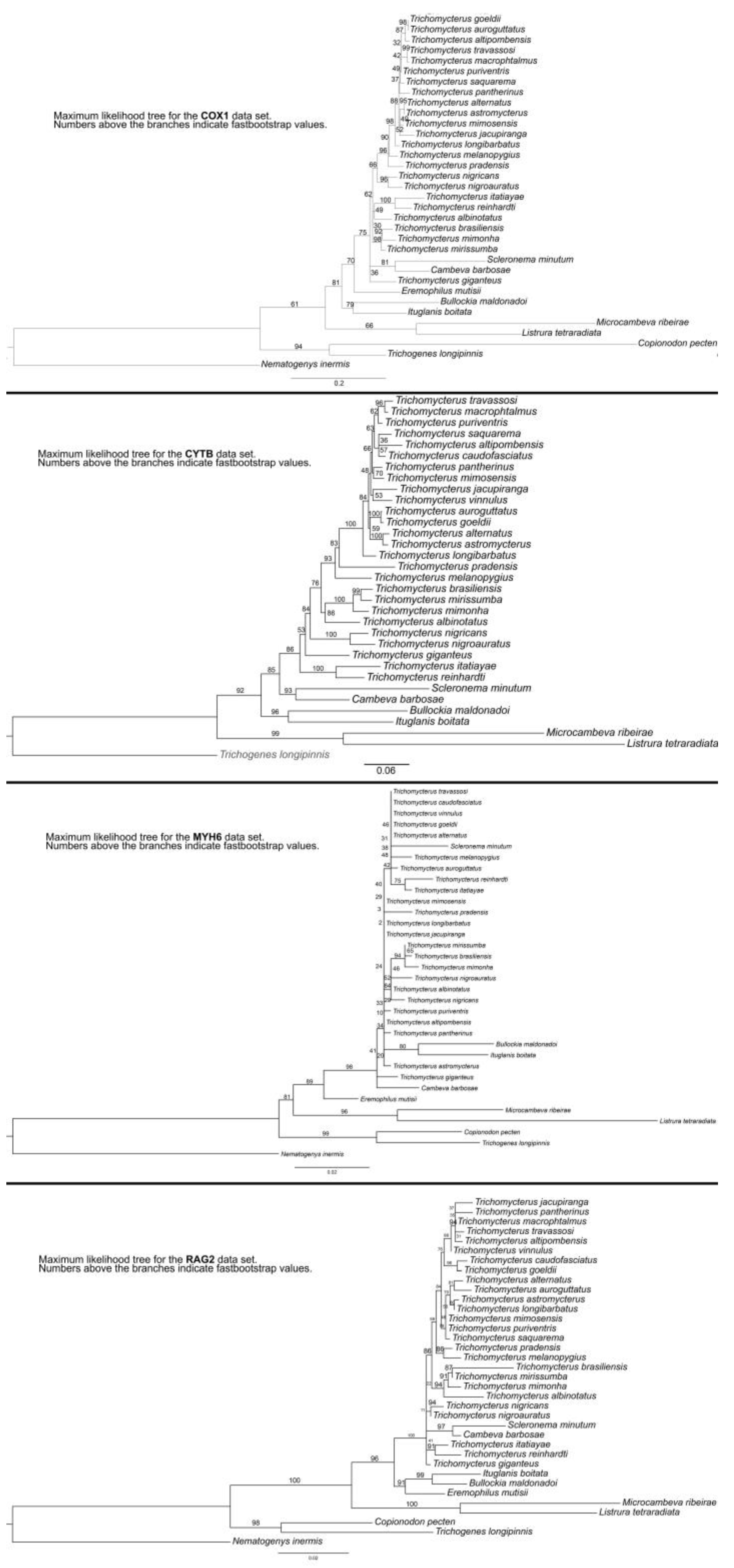 Taxonomy 02 00032 g0a1