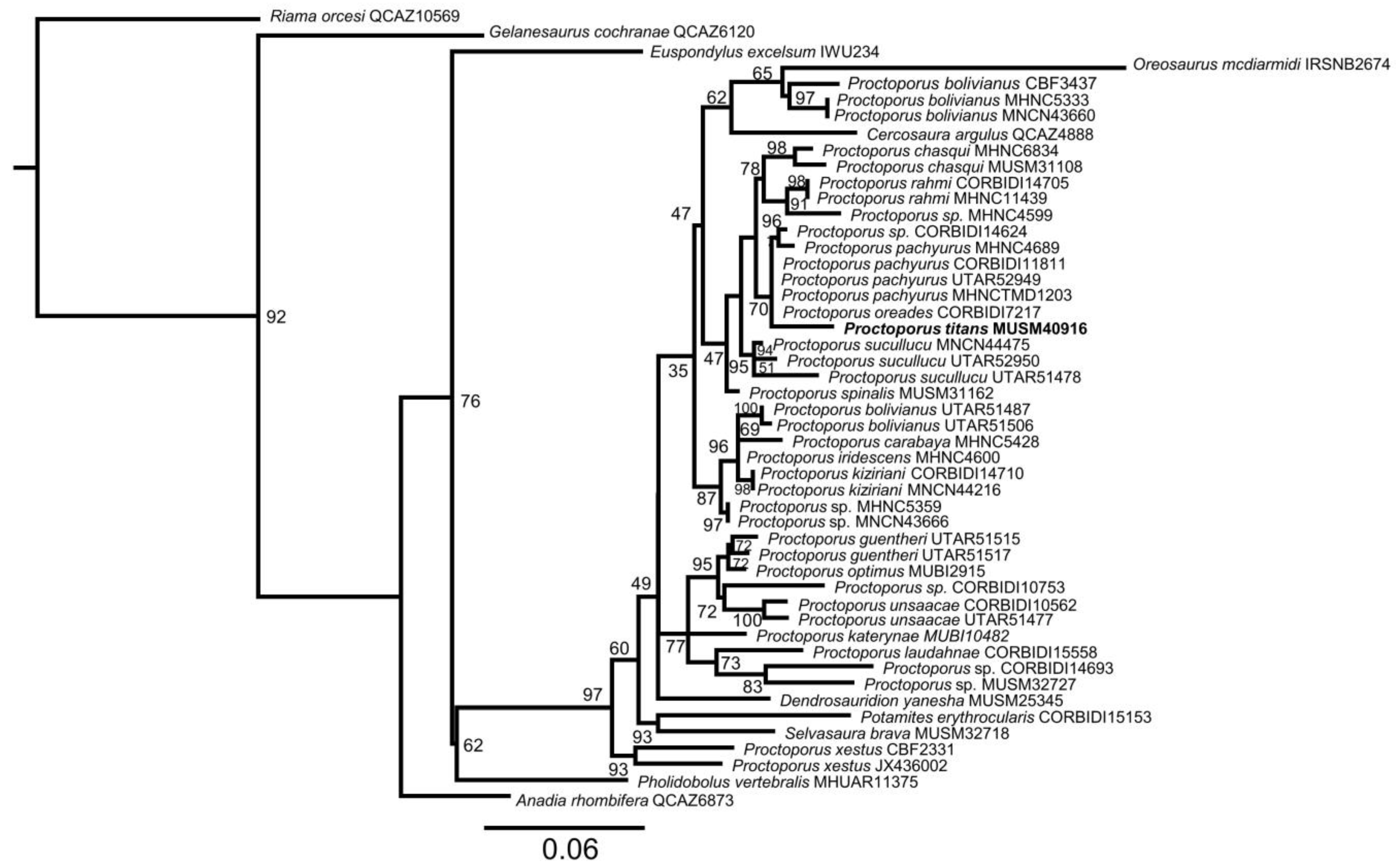 Taxonomy 03 00002 g003 Taxonomy 03 00002 g003