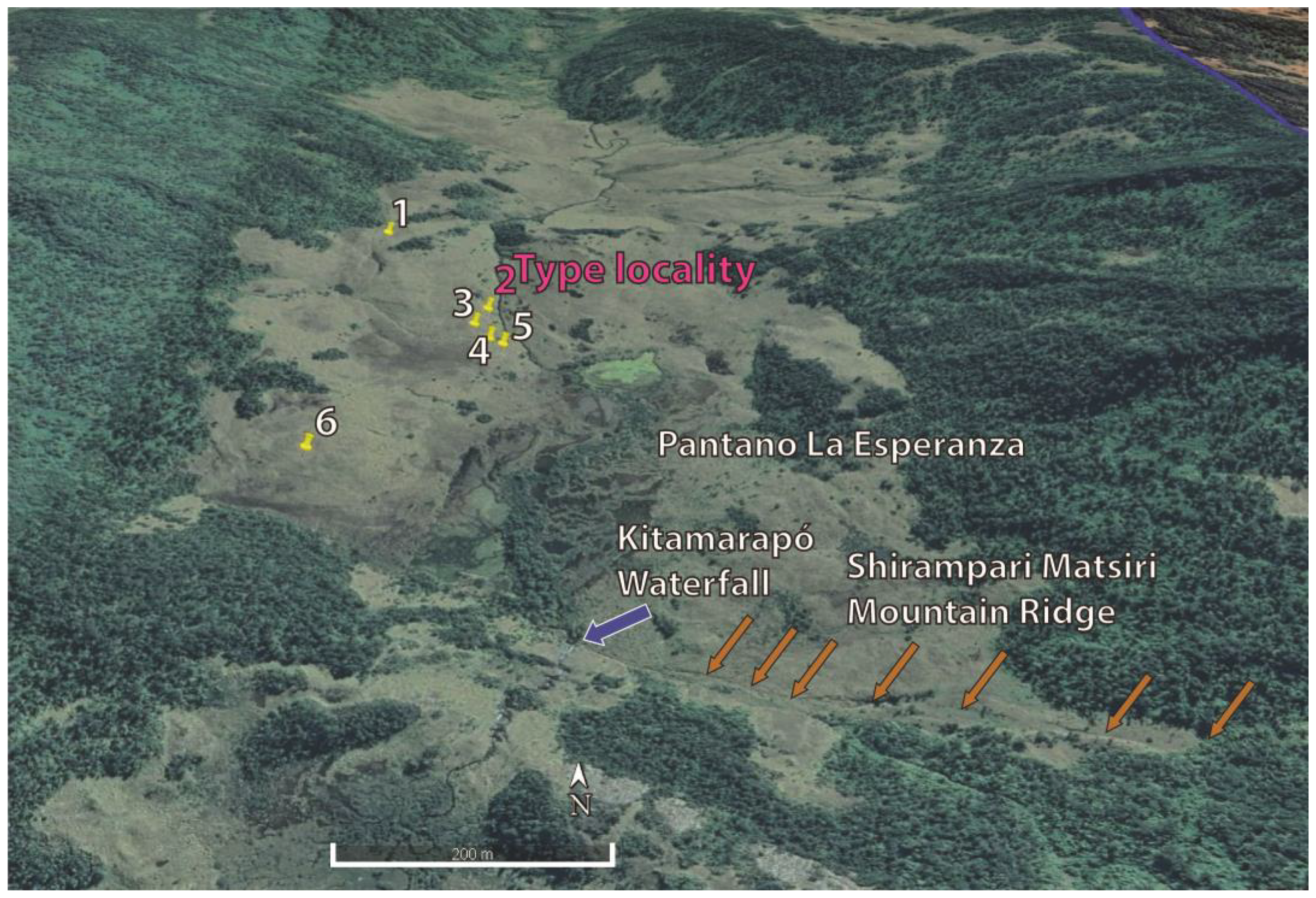 Taxonomy 03 00002 g009 Taxonomy 03 00002 g009