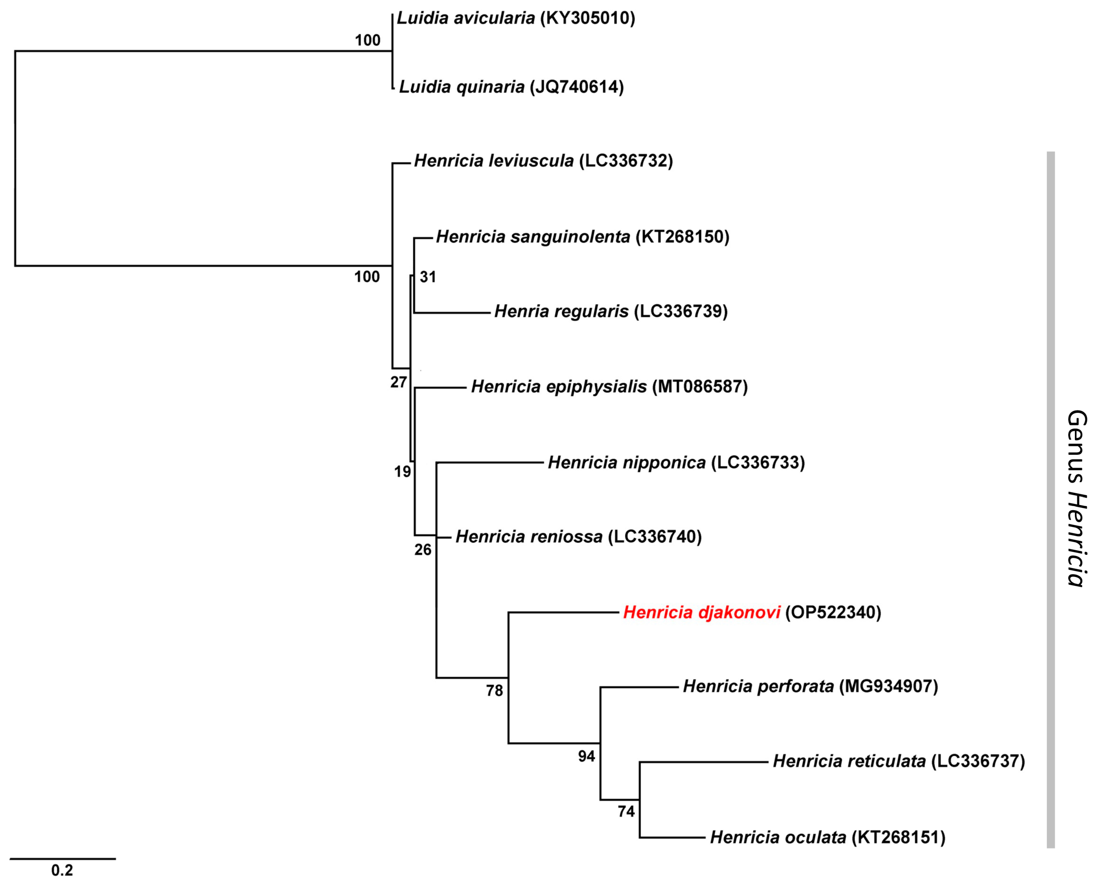 Taxonomy 03 00004 g003 Taxonomy 03 00004 g003