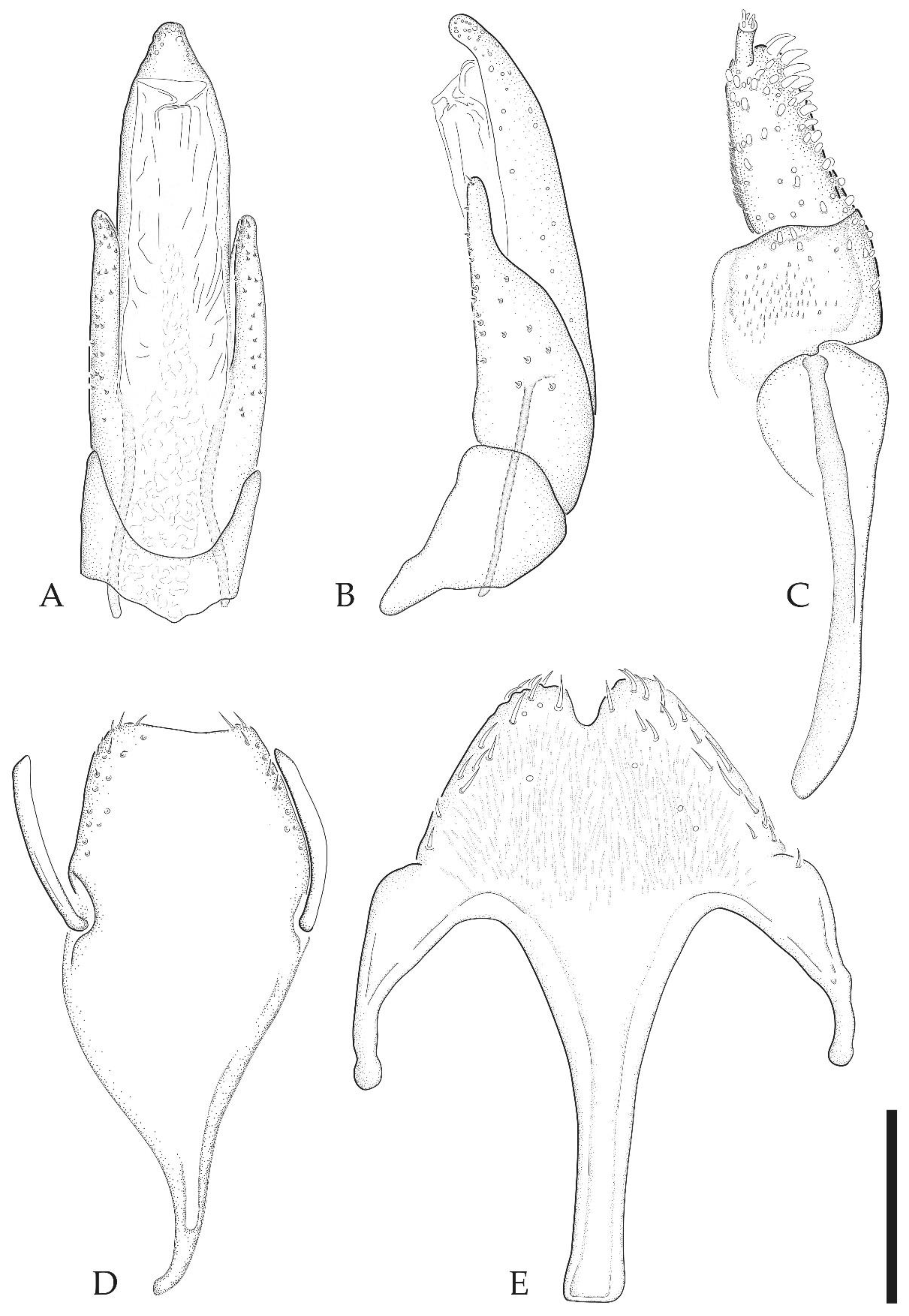 Taxonomy 03 00008 g004