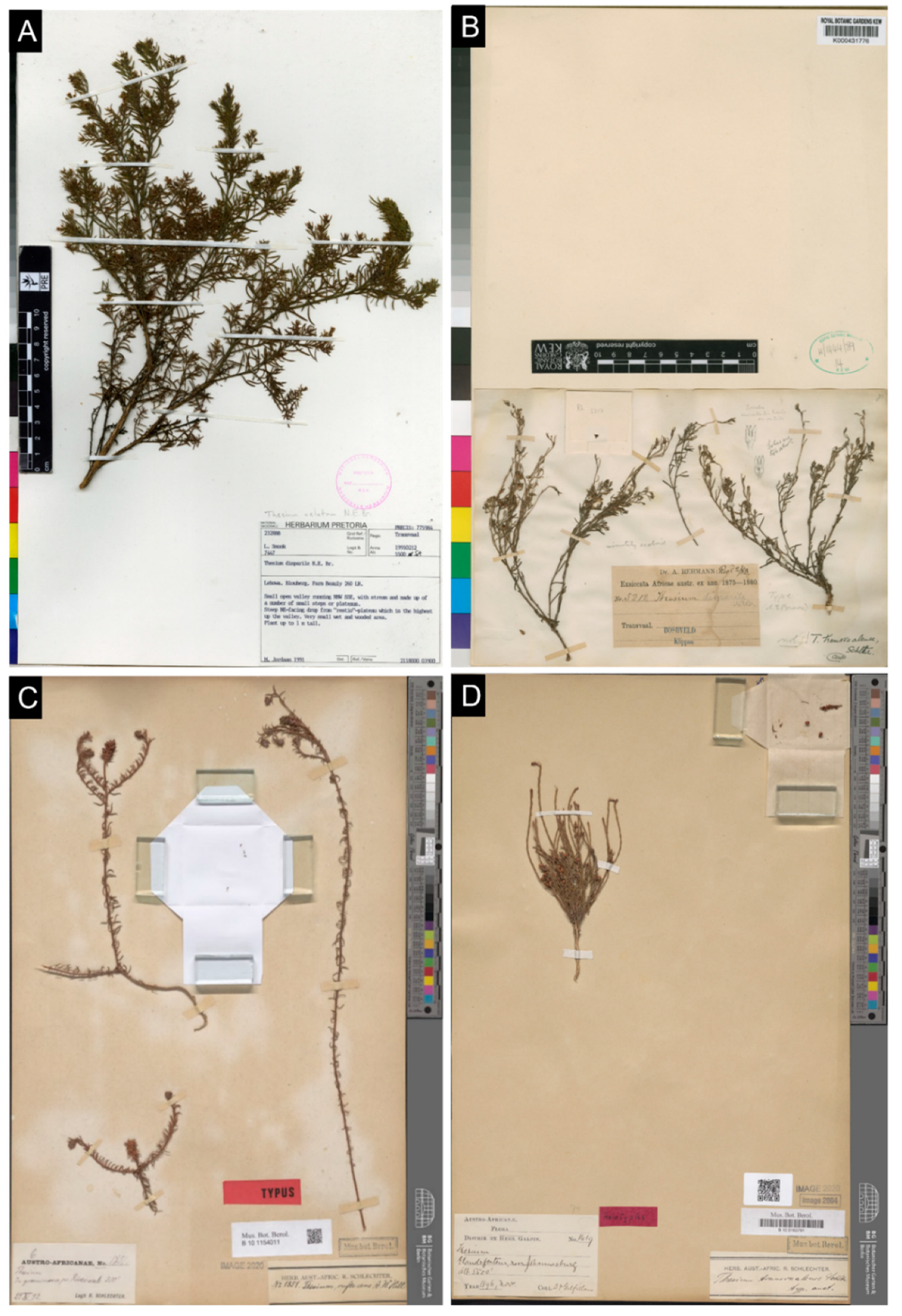 Taxonomy 03 00009 g002