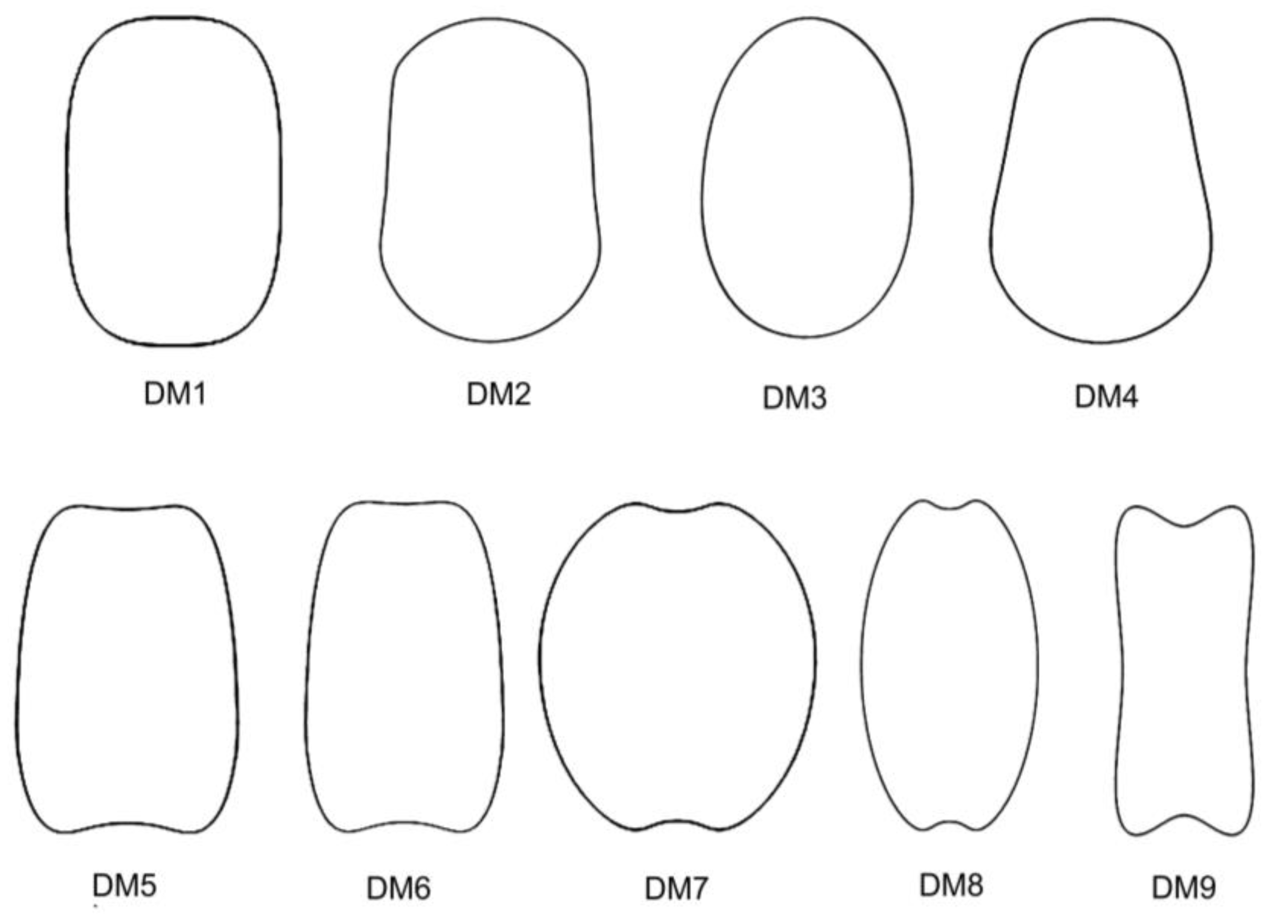 Taxonomy 03 00010 g002 550