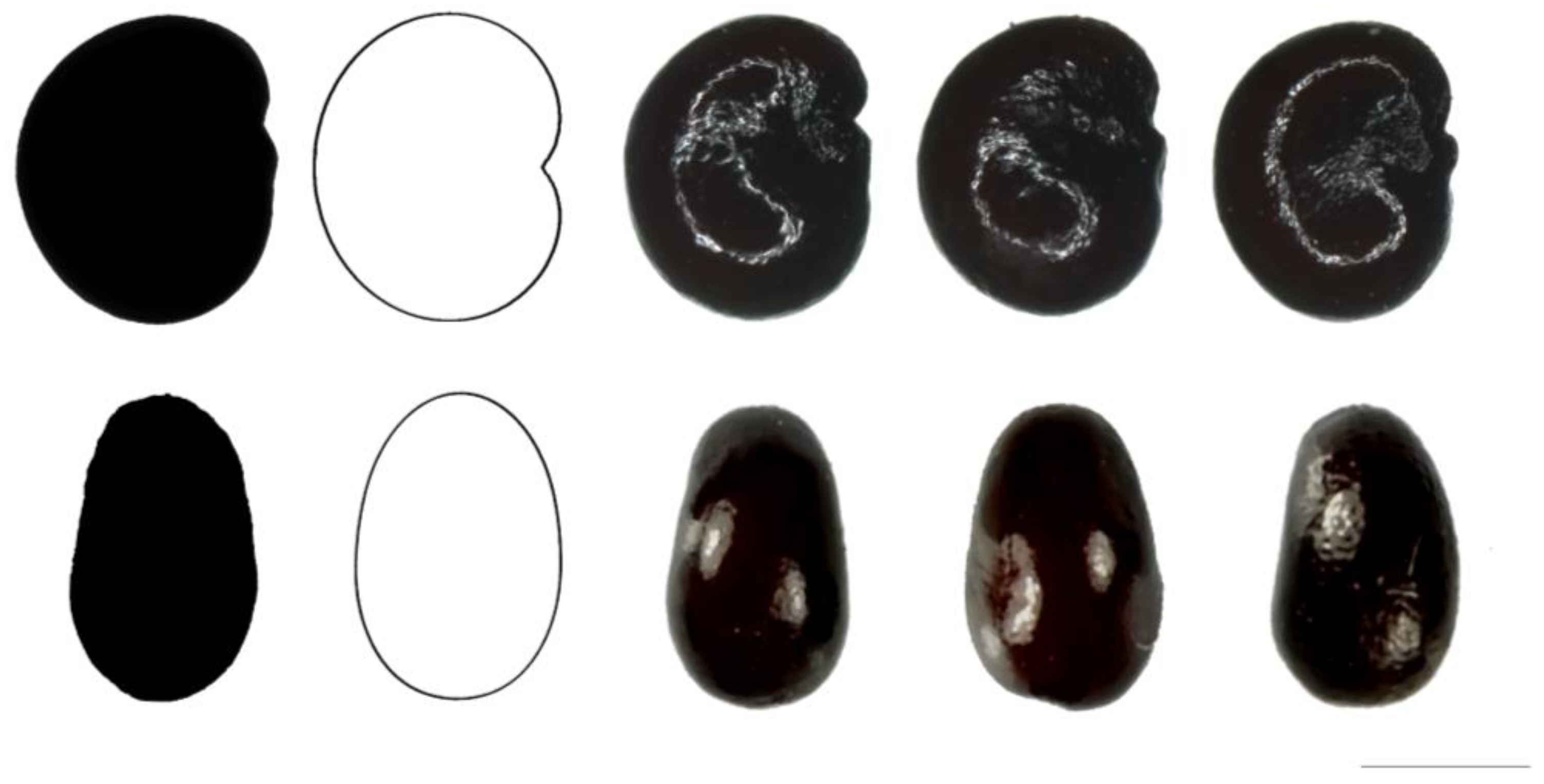 Taxonomy 03 00010 g010 550