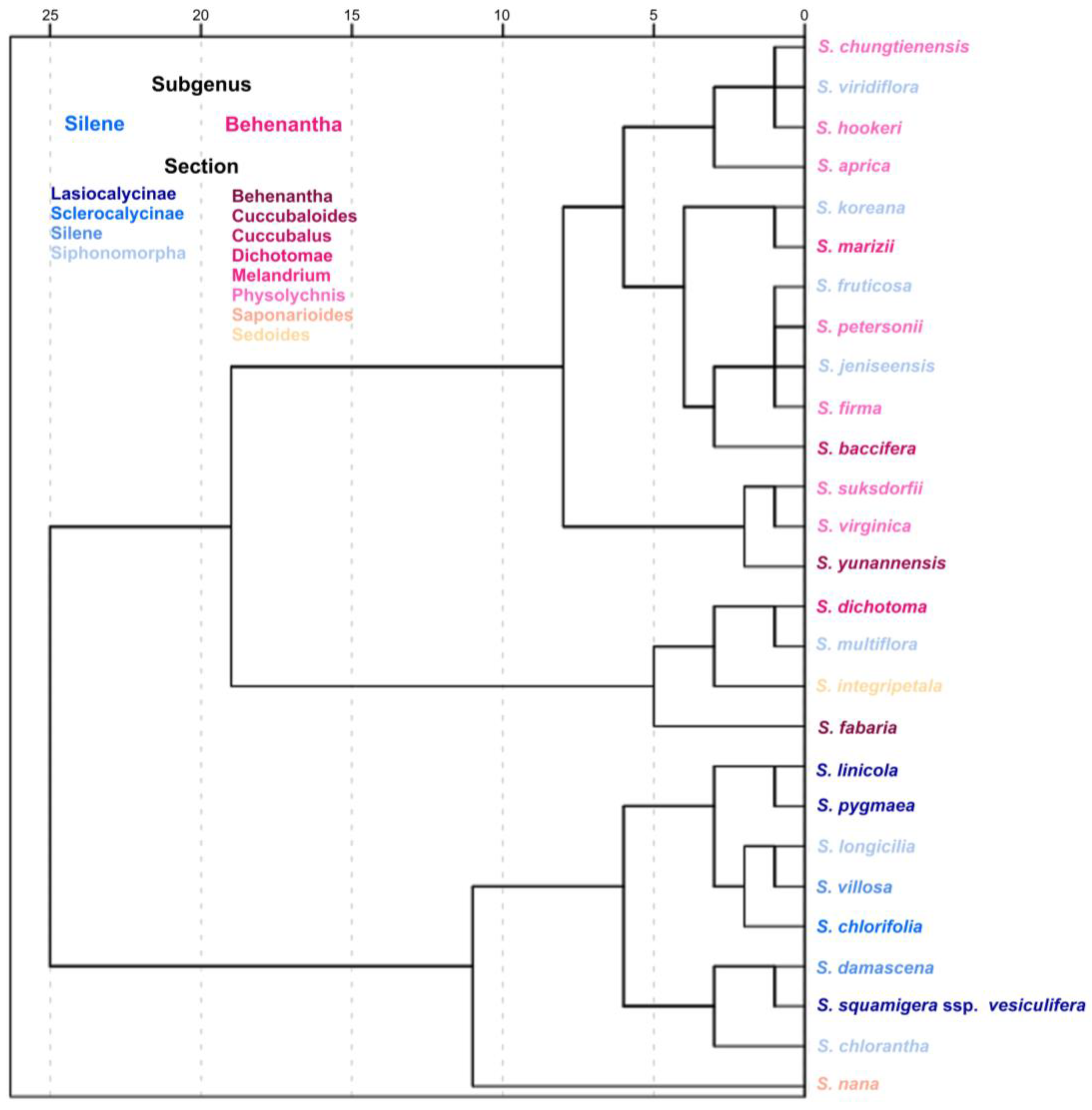 Taxonomy 03 00010 g021 550