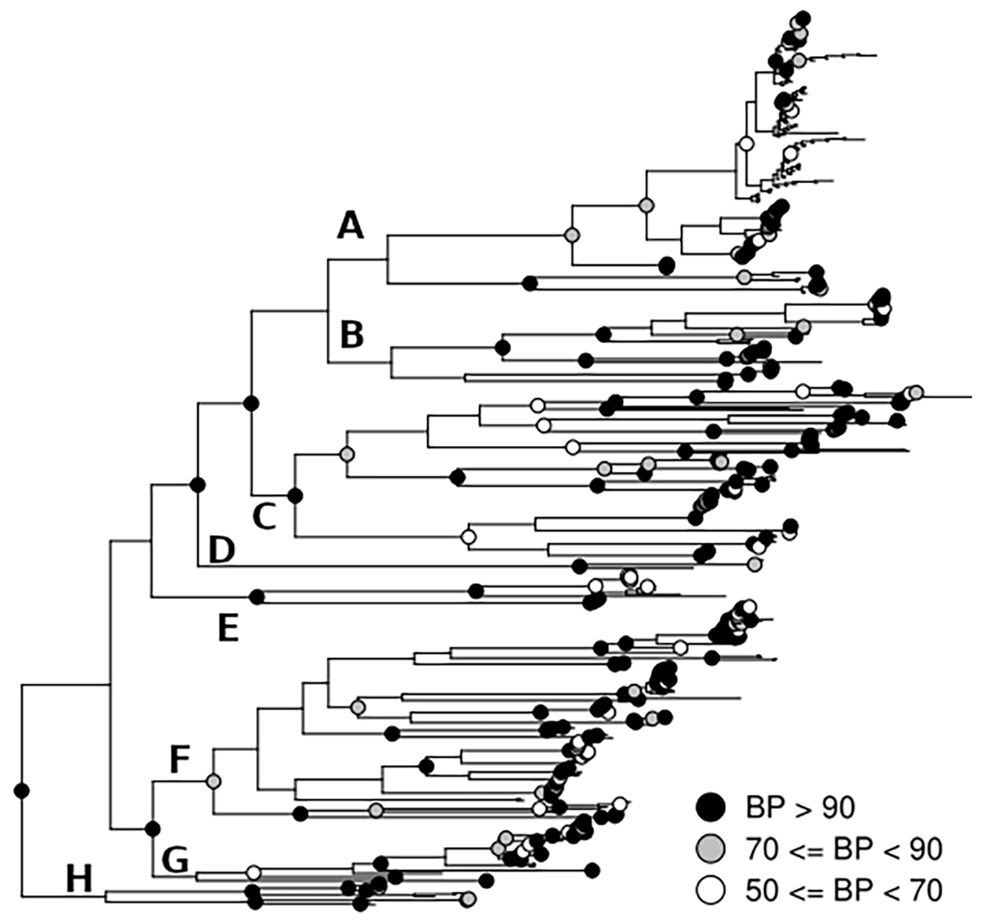 Taxonomy 03 00011 g002 Taxonomy 03 00011 g002