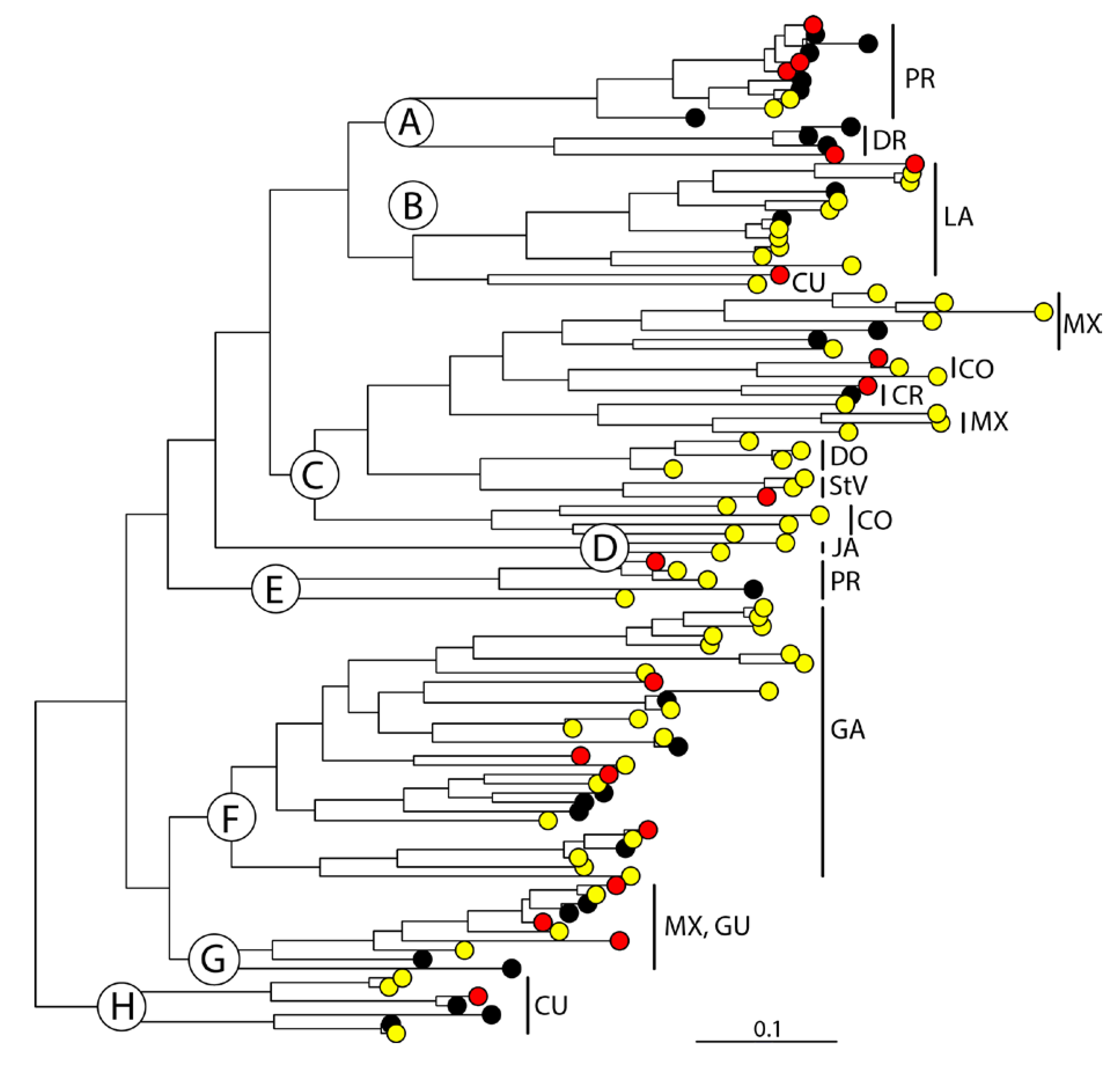 Taxonomy 03 00011 g003 Taxonomy 03 00011 g003
