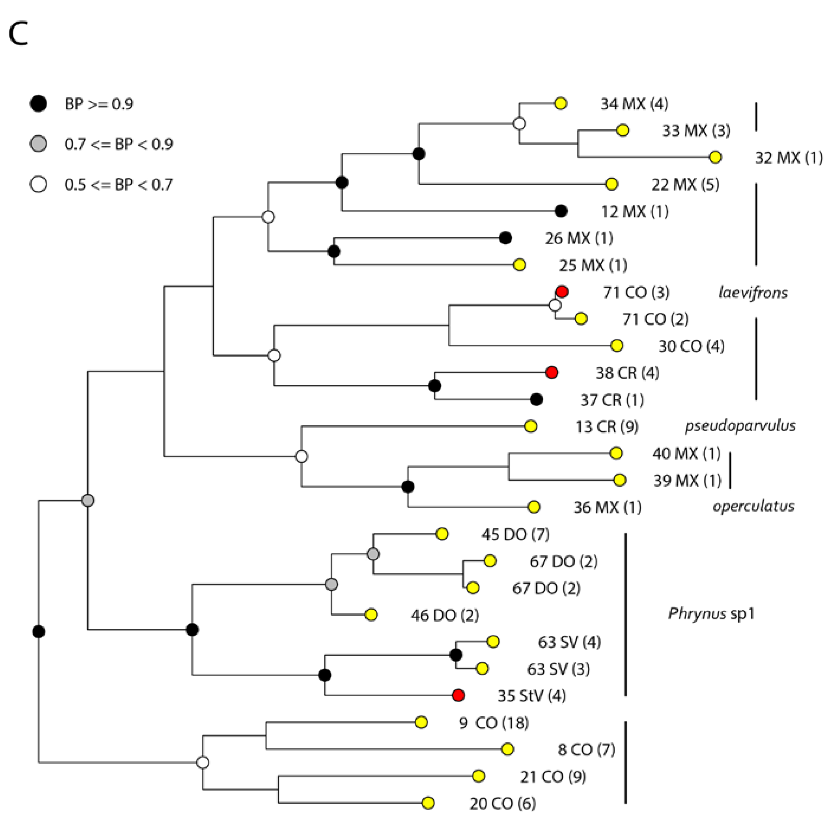 Taxonomy 03 00011 g004 Taxonomy 03 00011 g004