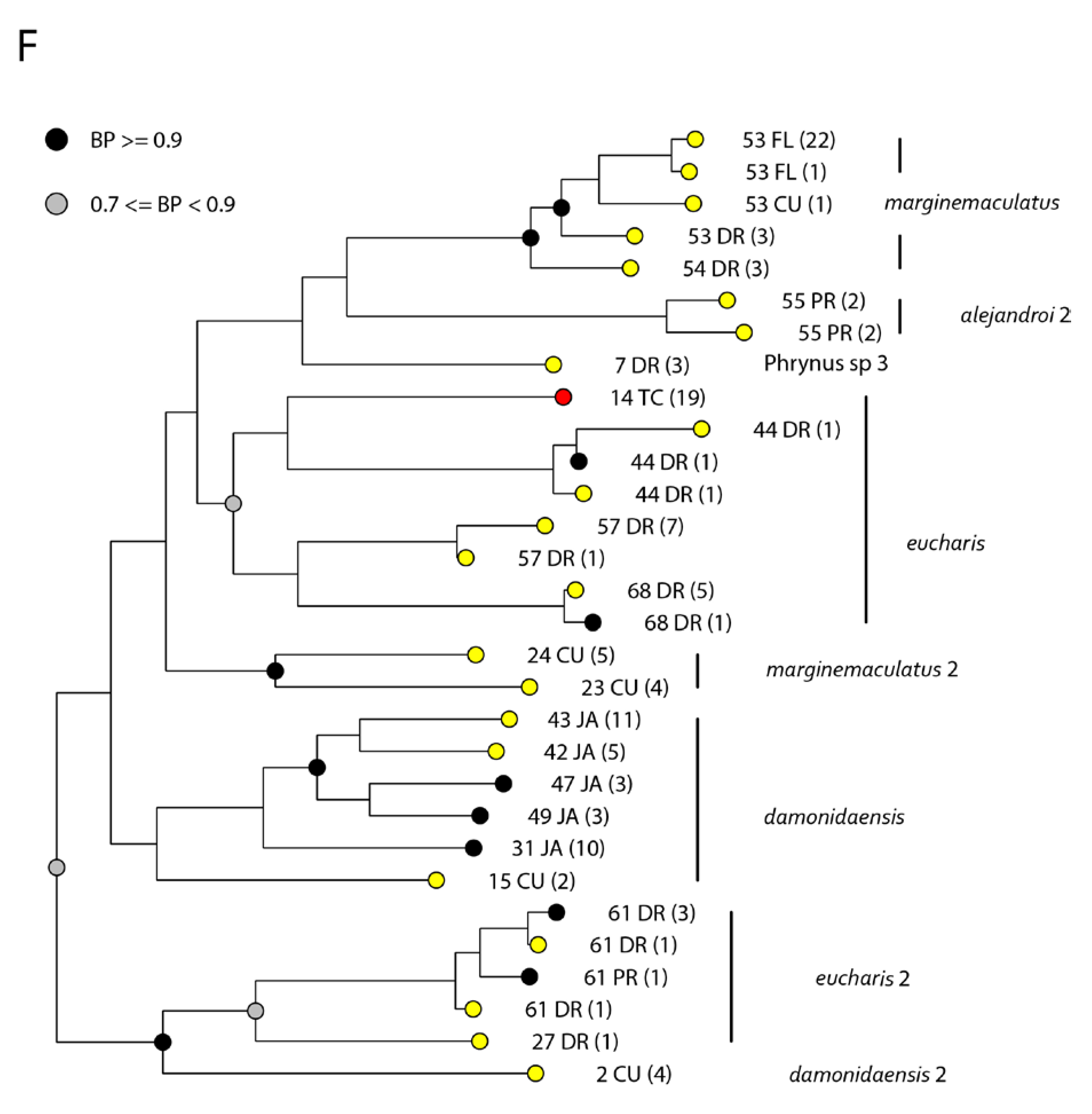 Taxonomy 03 00011 g005 Taxonomy 03 00011 g005