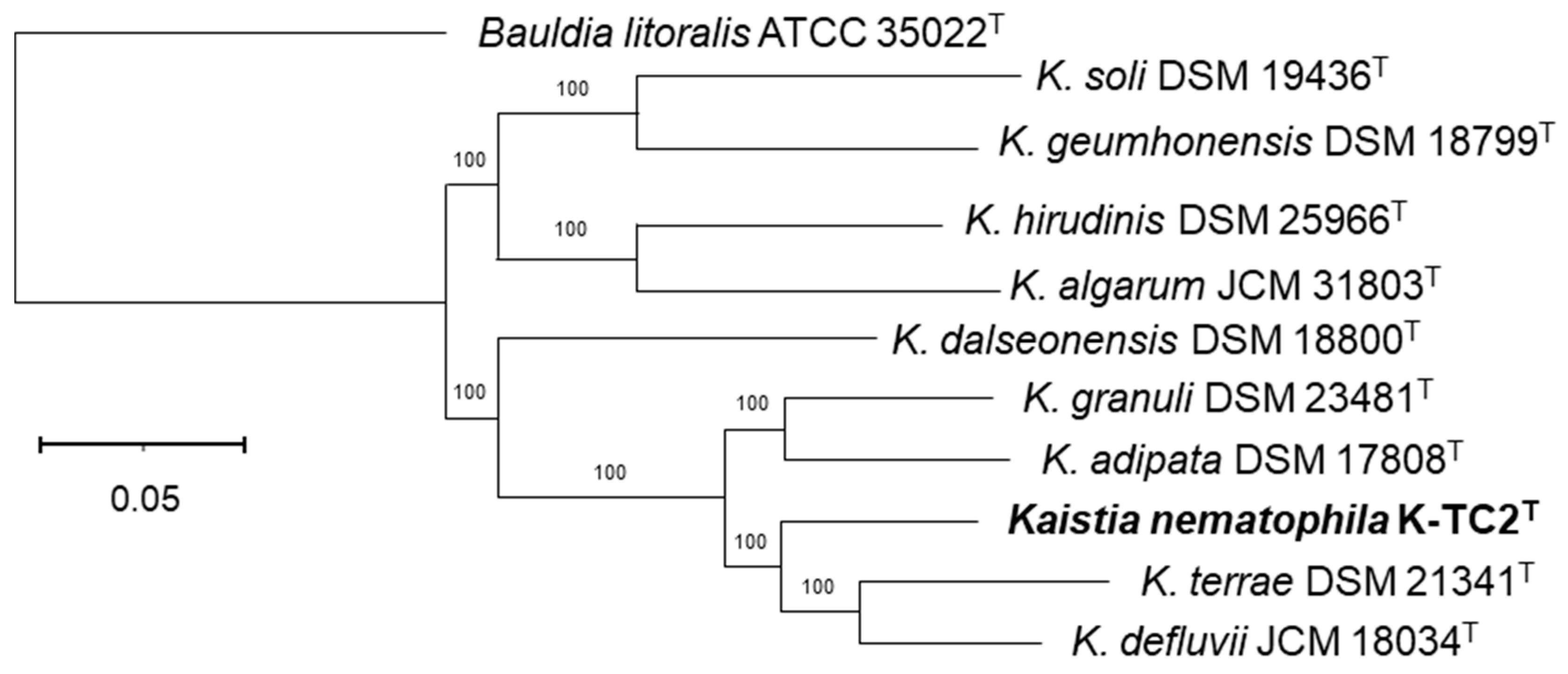 Taxonomy 03 00012 g004 Taxonomy 03 00012 g004