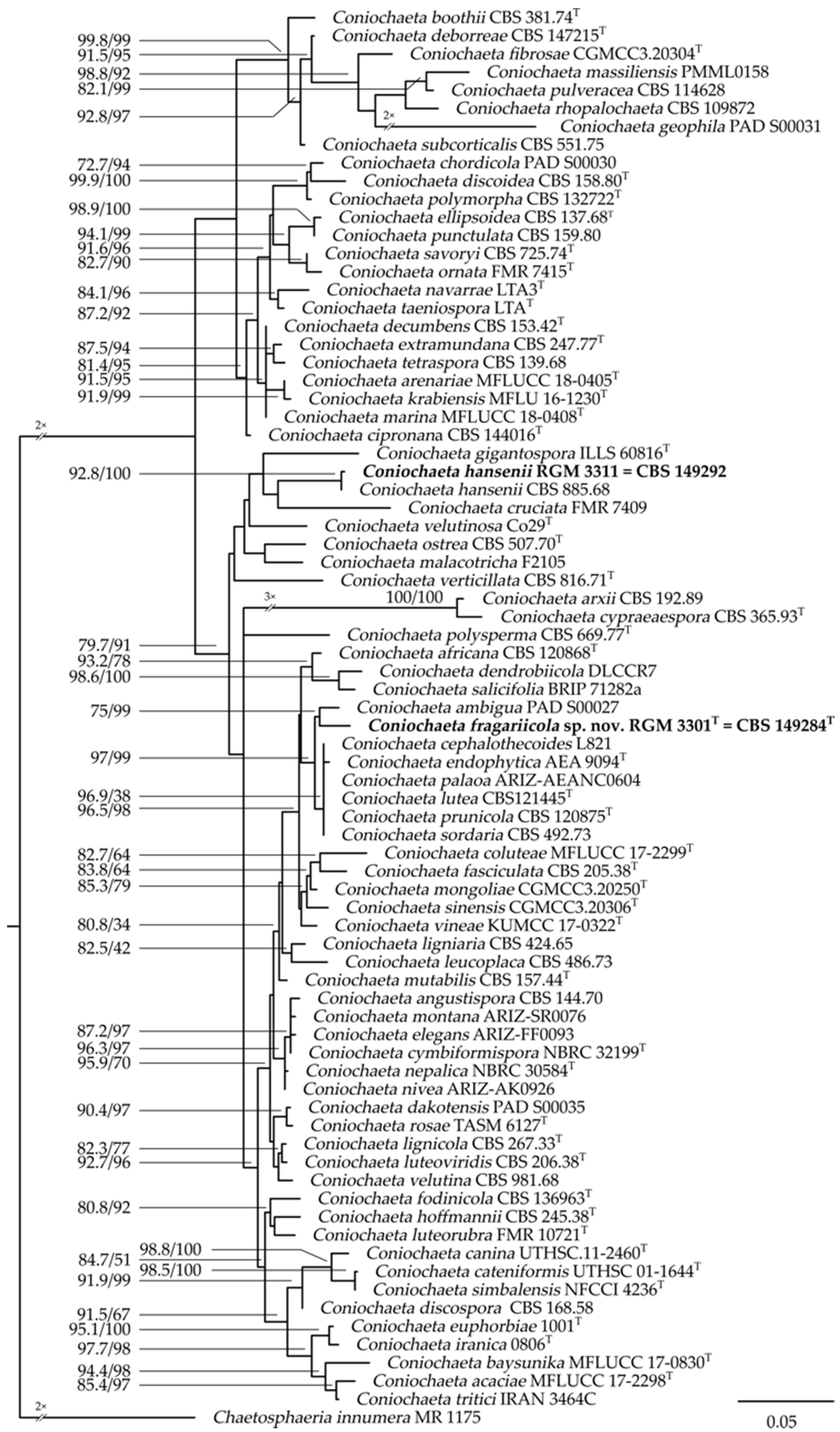 Taxonomy 03 00014 g001 Taxonomy 03 00014 g001