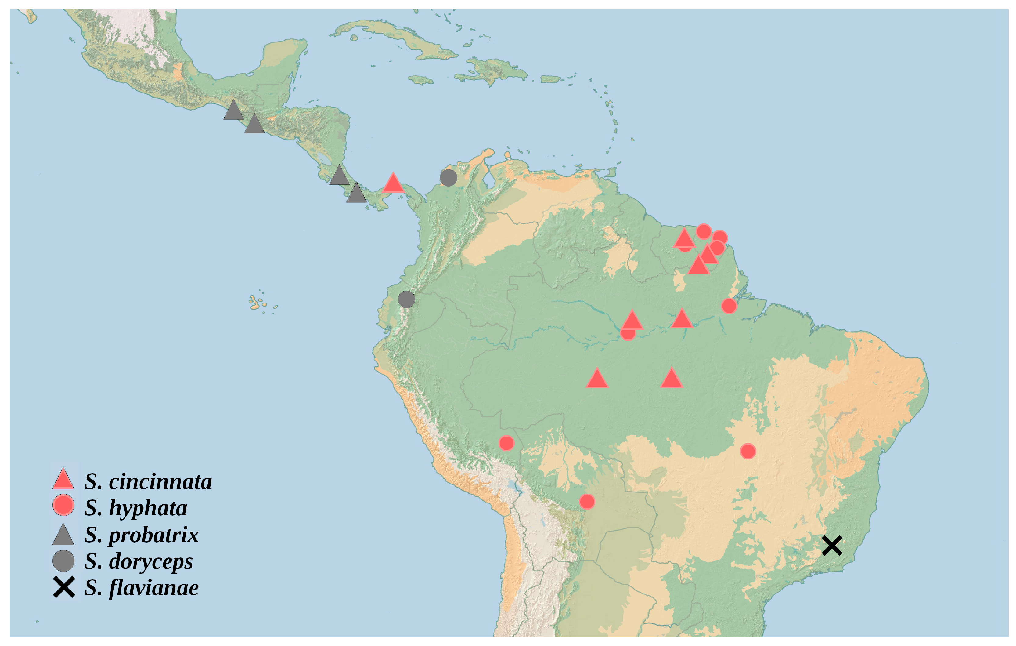 Taxonomy 03 00016 g004