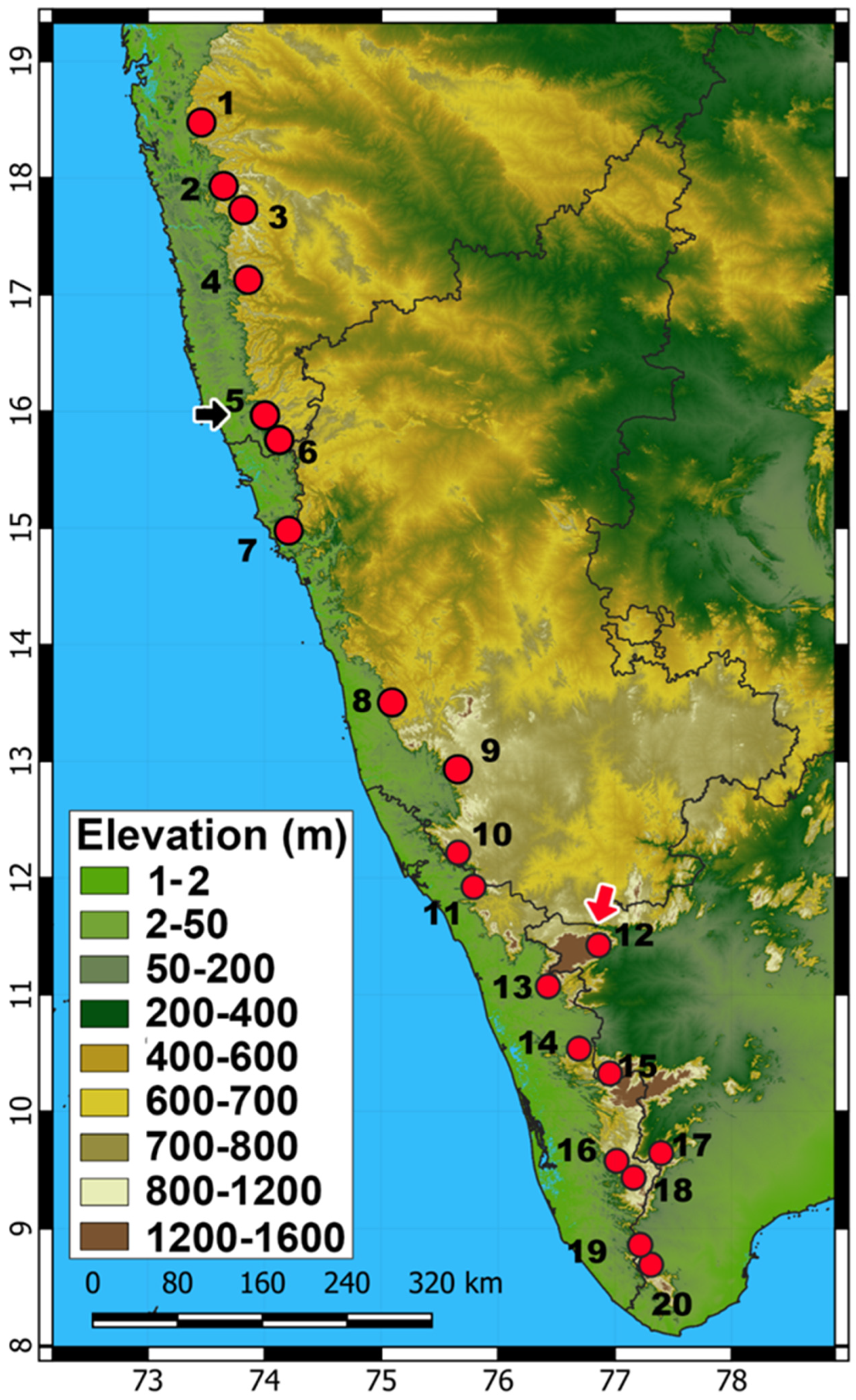 Taxonomy 03 00024 g011 Taxonomy 03 00024 g011
