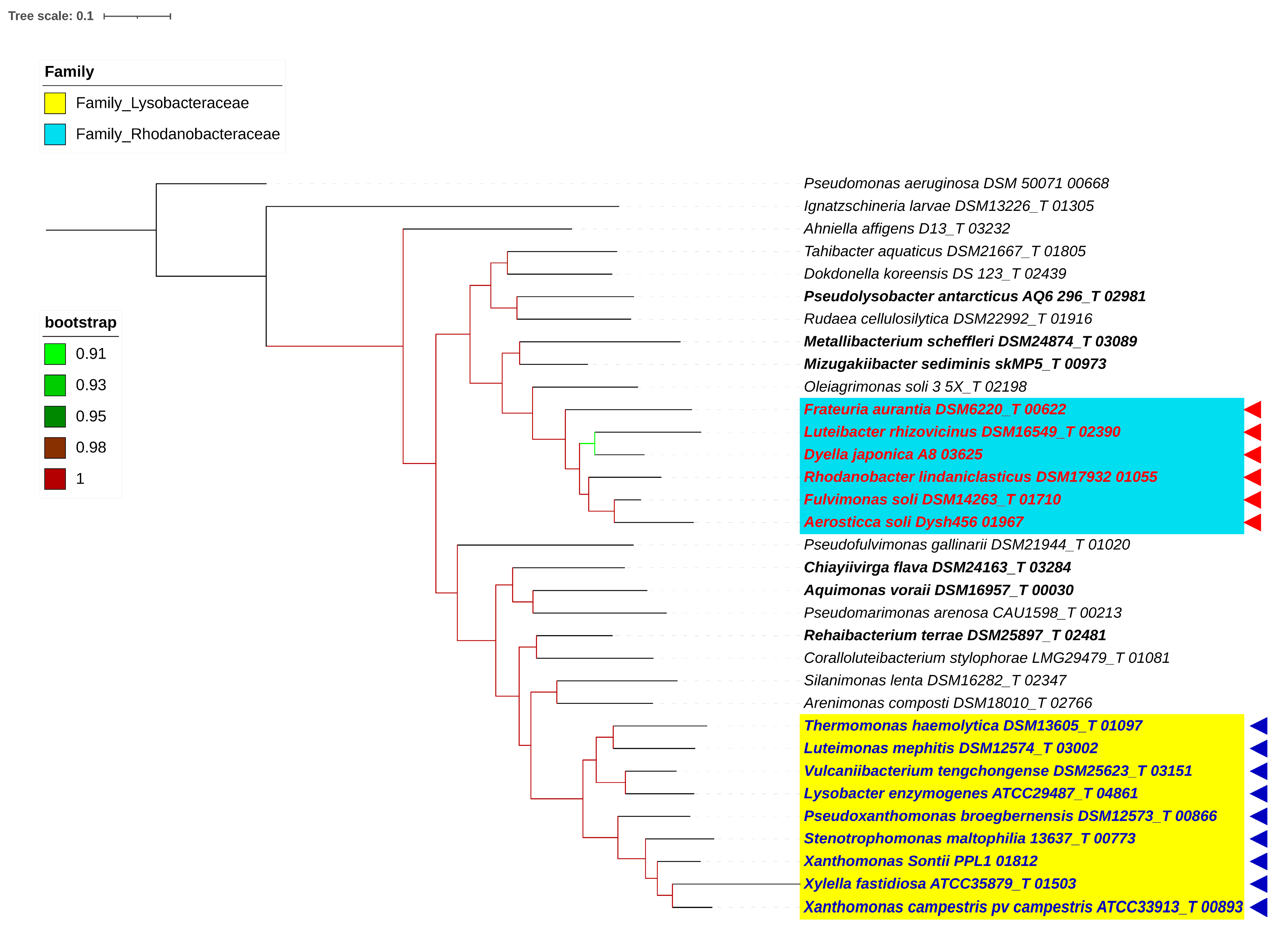 Taxonomy 03 00026 g001 Taxonomy 03 00026 g001