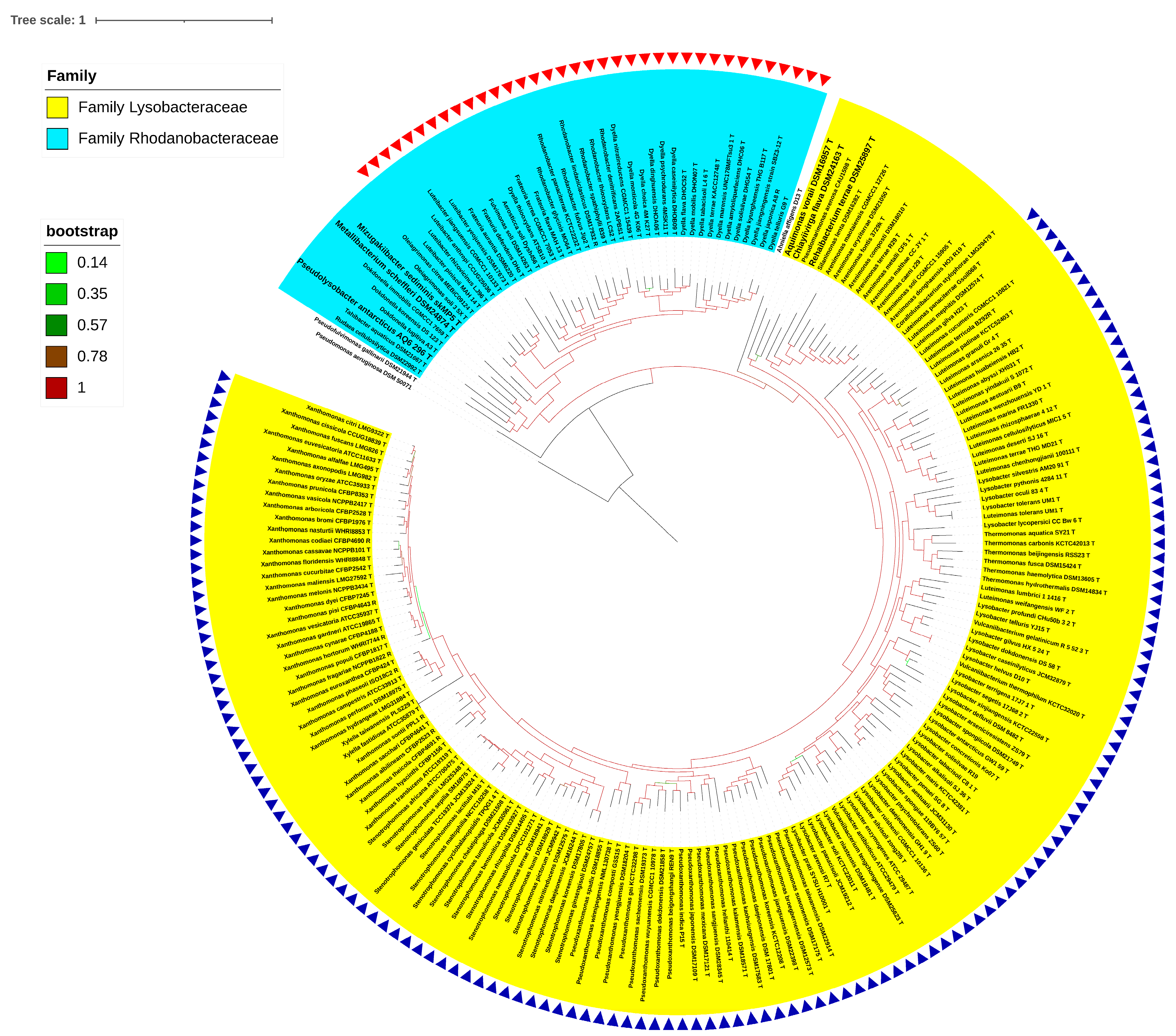 Taxonomy 03 00026 g002 Taxonomy 03 00026 g002