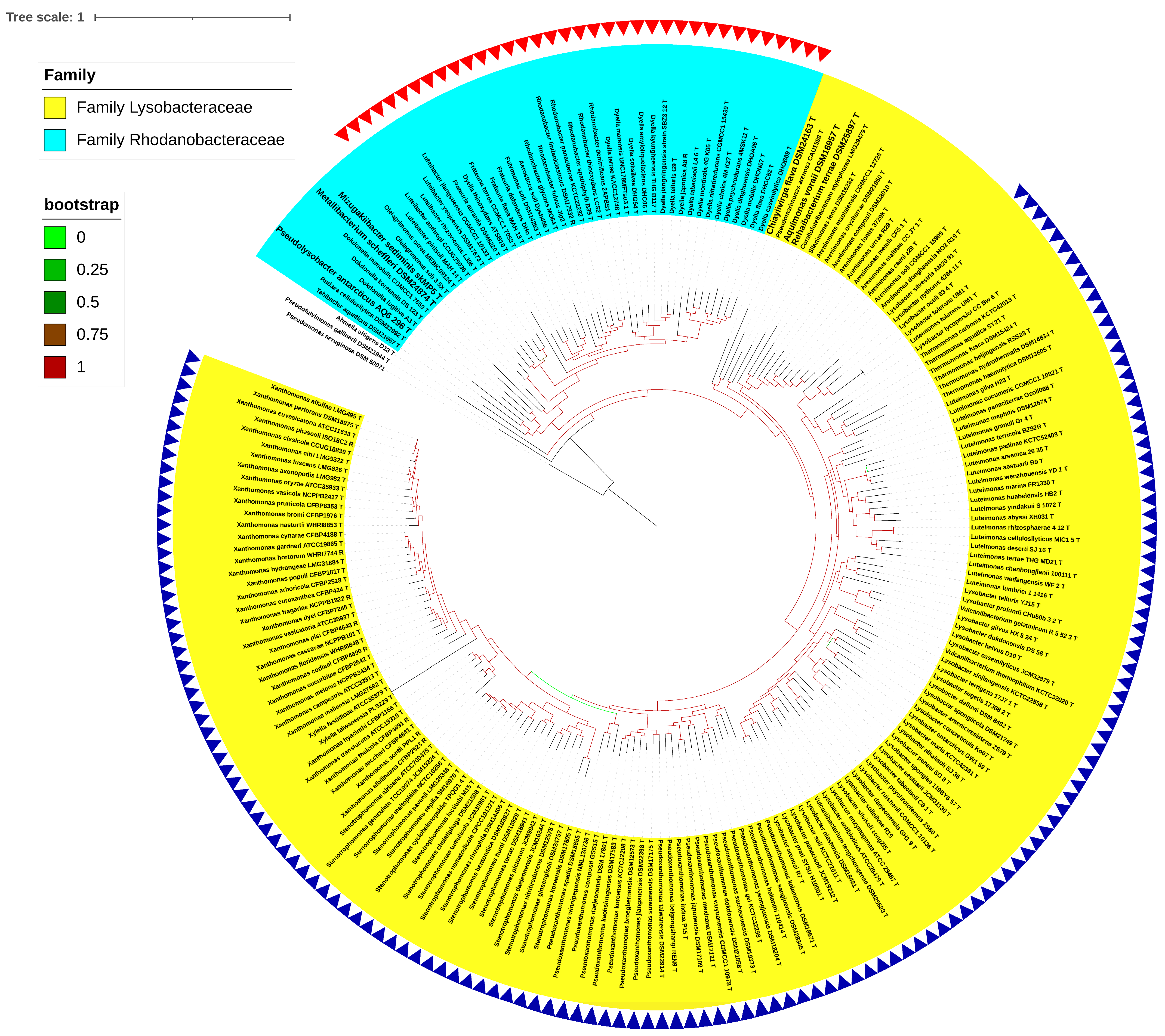Taxonomy 03 00026 g003 Taxonomy 03 00026 g003
