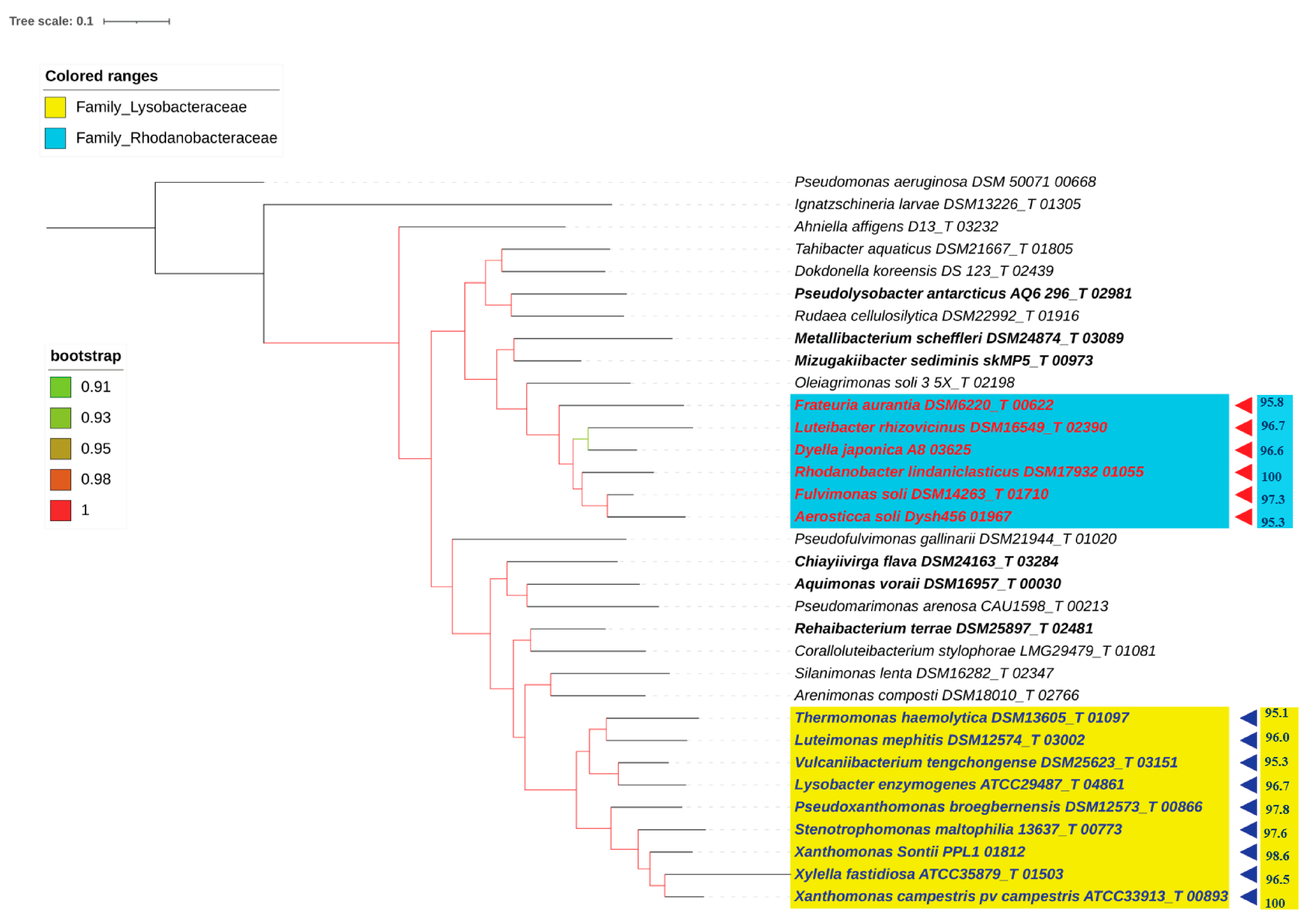 Taxonomy 03 00026 g006 Taxonomy 03 00026 g006