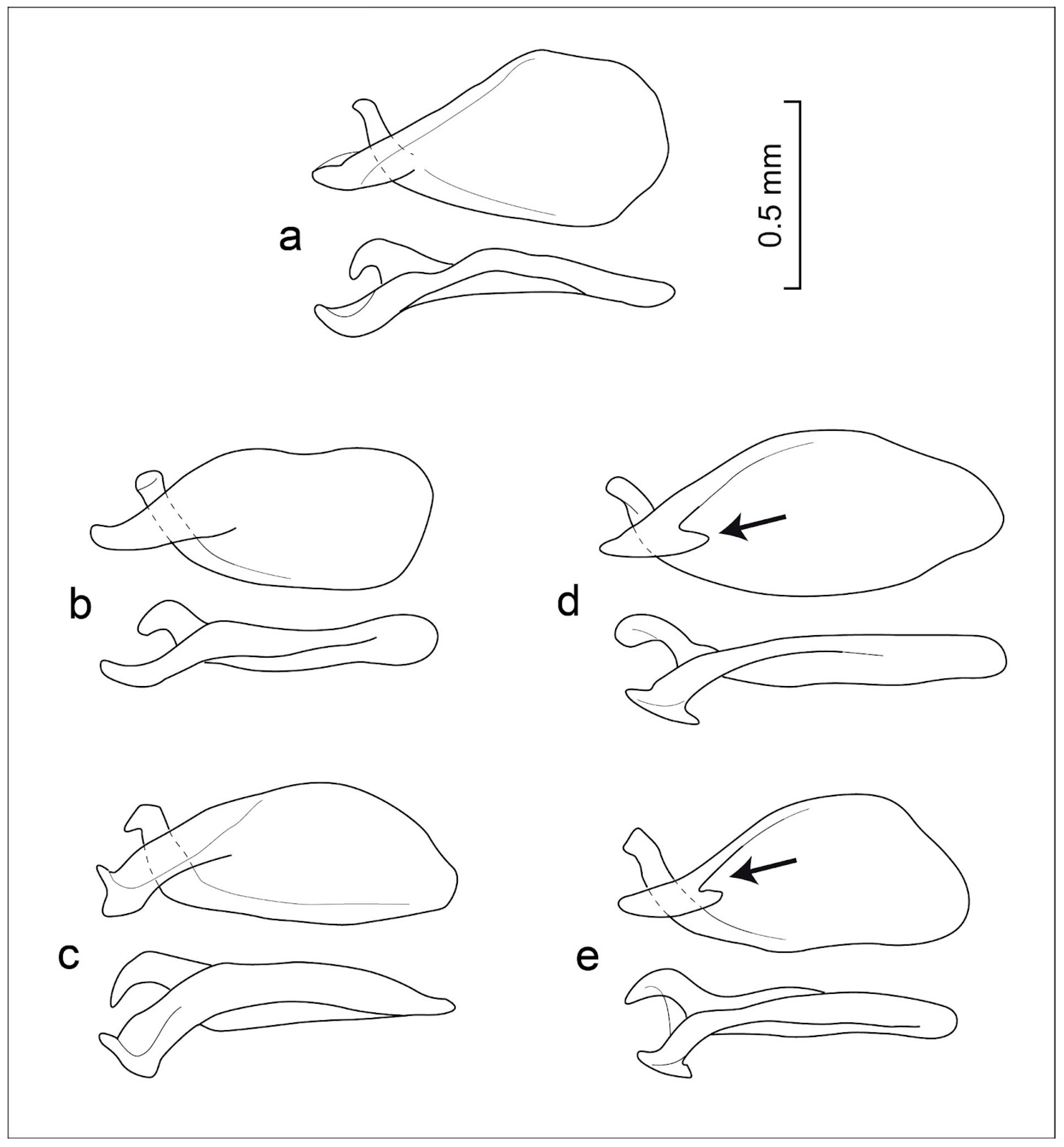 Taxonomy 03 00028 g006