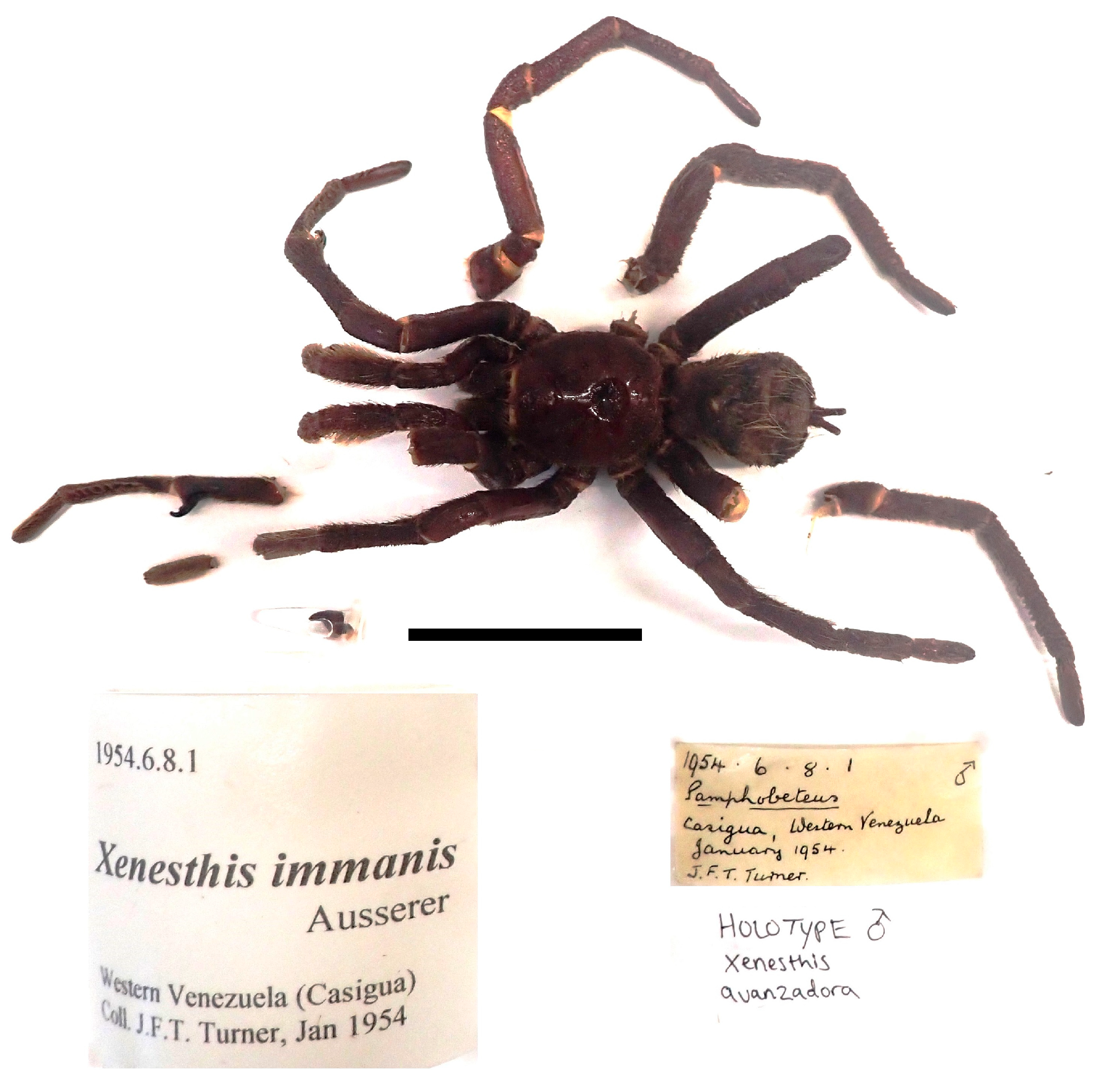 Taxonomy 03 00029 g003