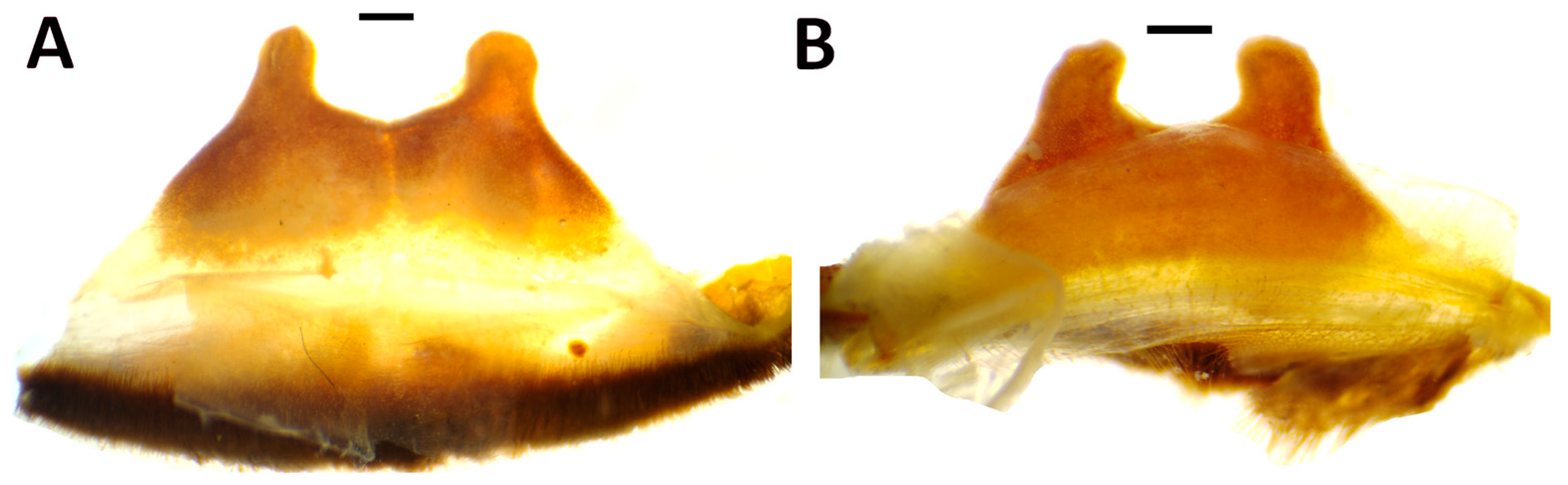 Taxonomy 03 00029 g007